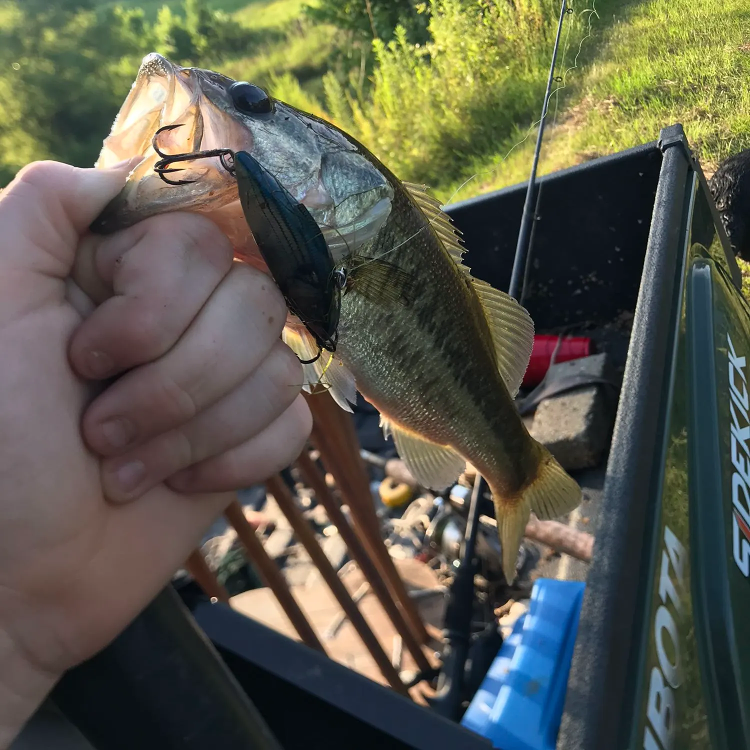 angler catch