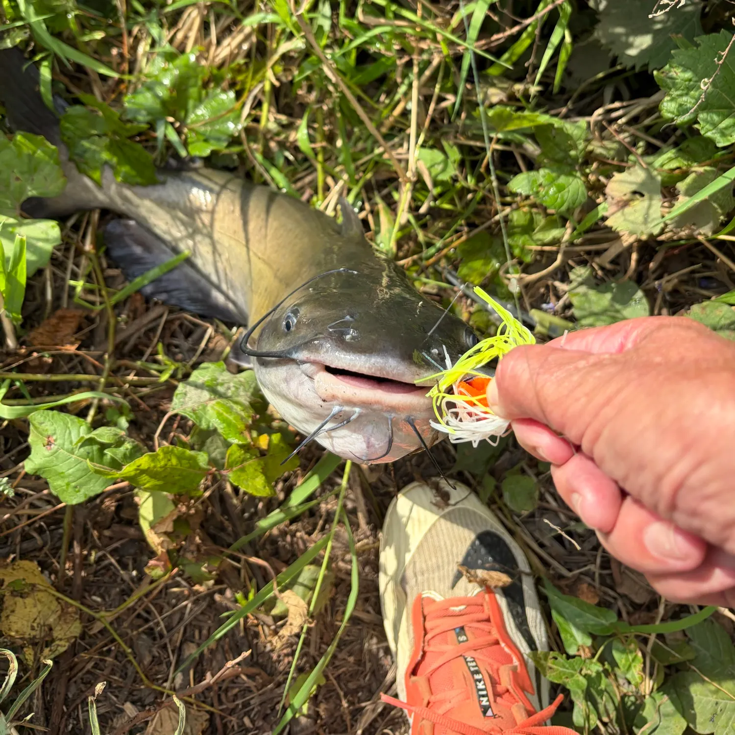 catch