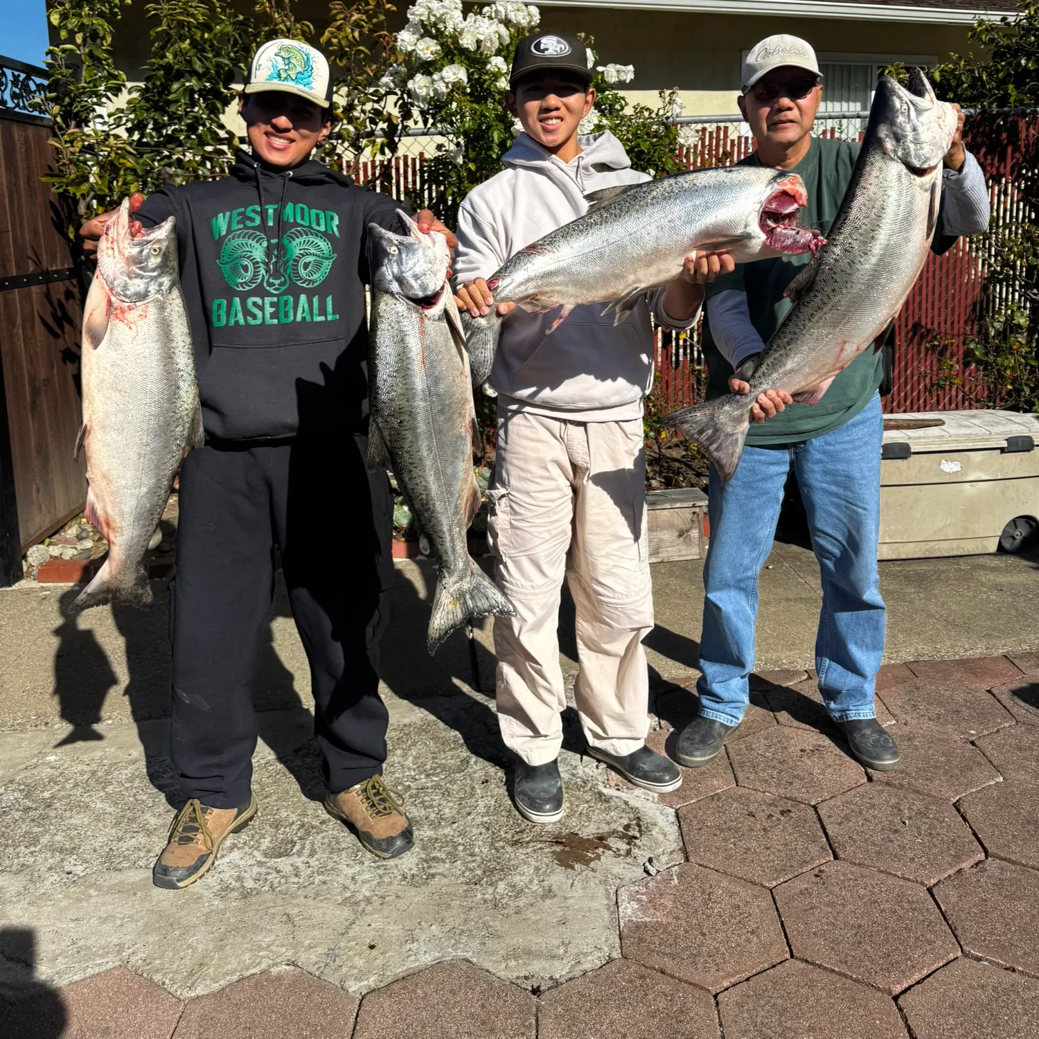 Fish caught on Fishbrain