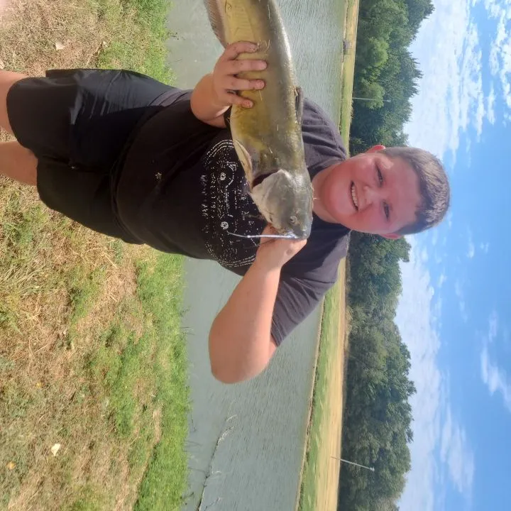 Channel catfish caught on Fishbrain