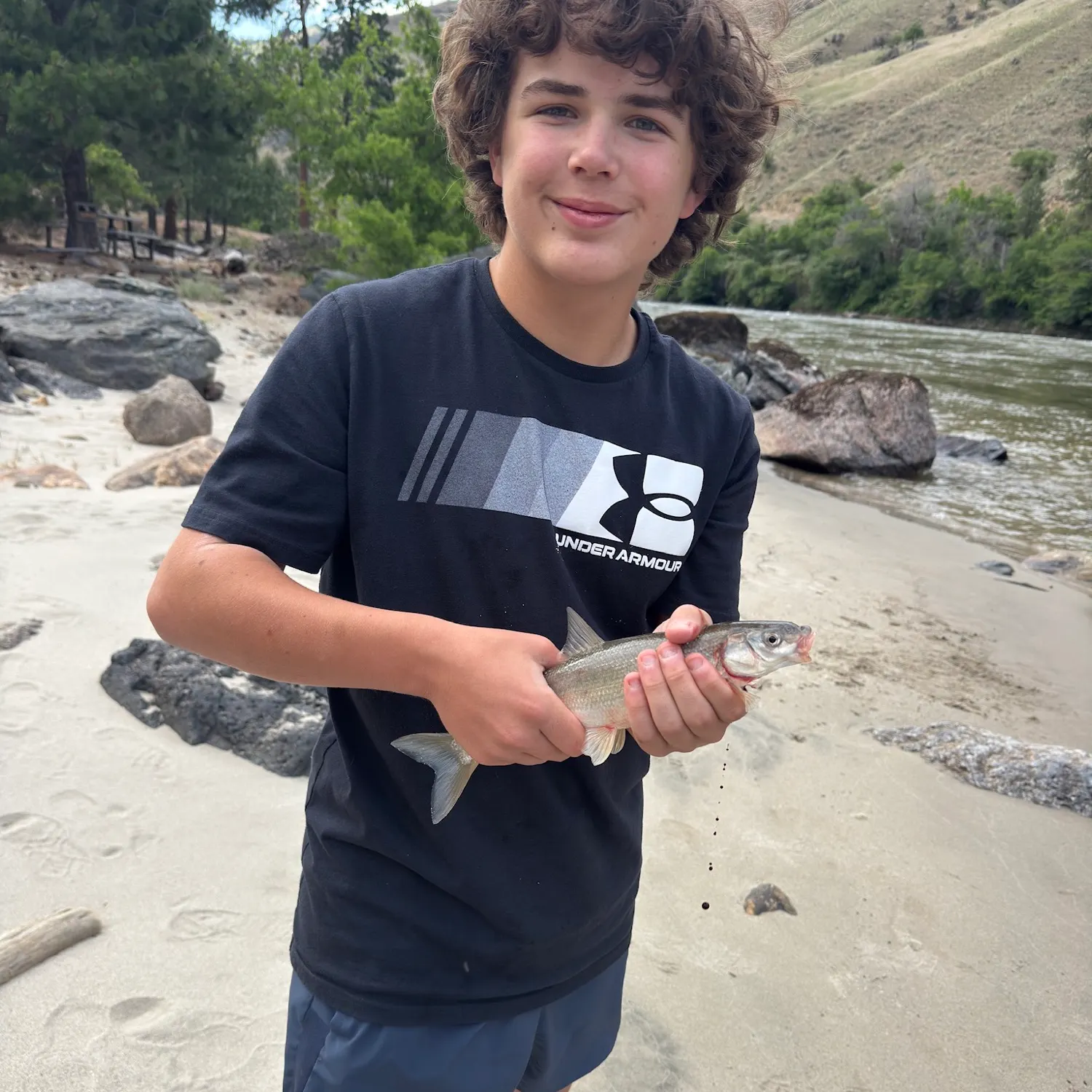 The most recent Mountain whitefish catches on Fishbrain