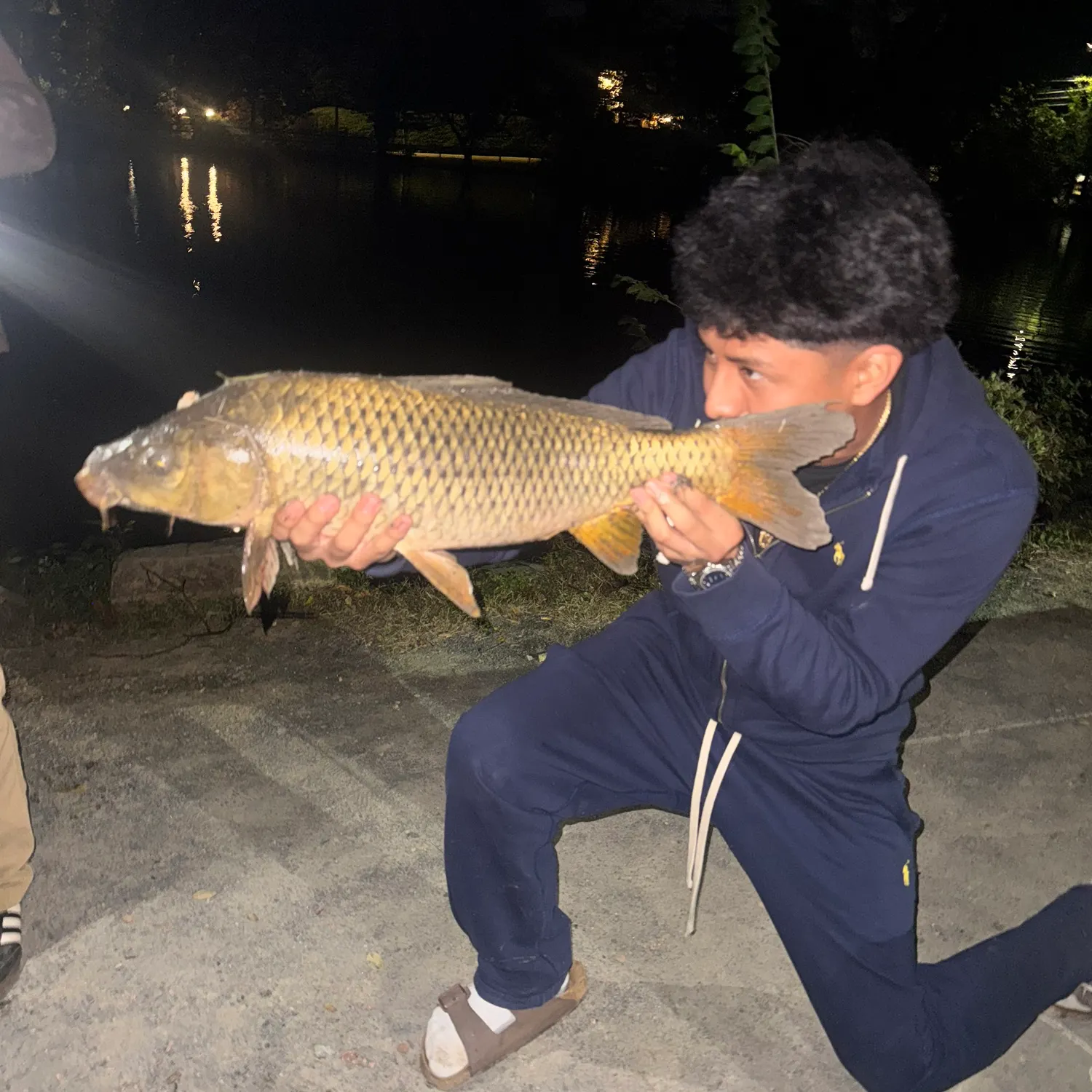 Common carp caught on Fishbrain