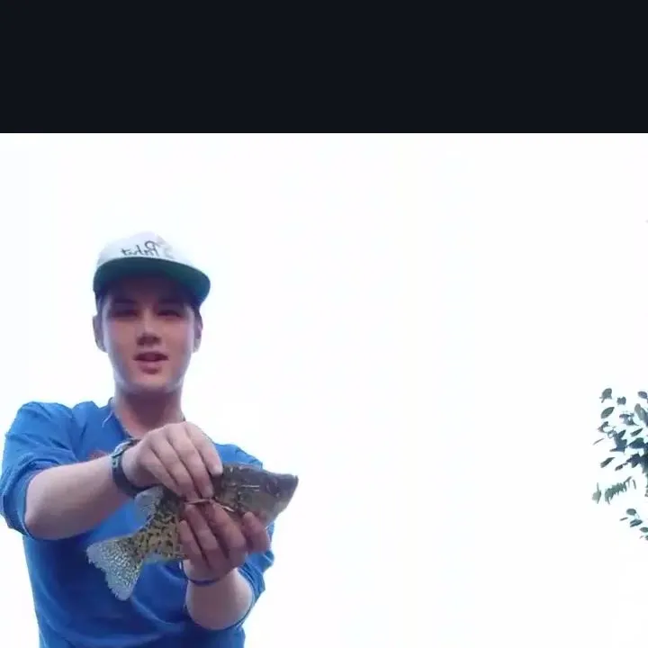 The most recent Magnolia crappie catches on Fishbrain