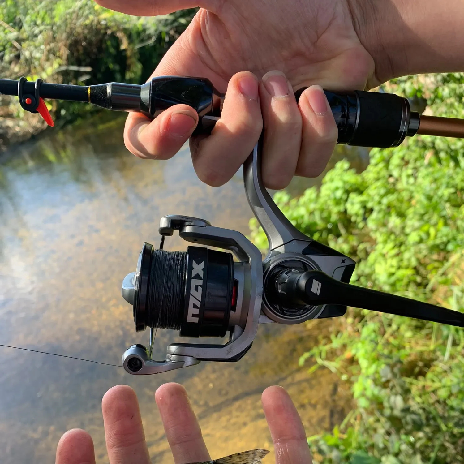 Gudgeon caught on Fishbrain