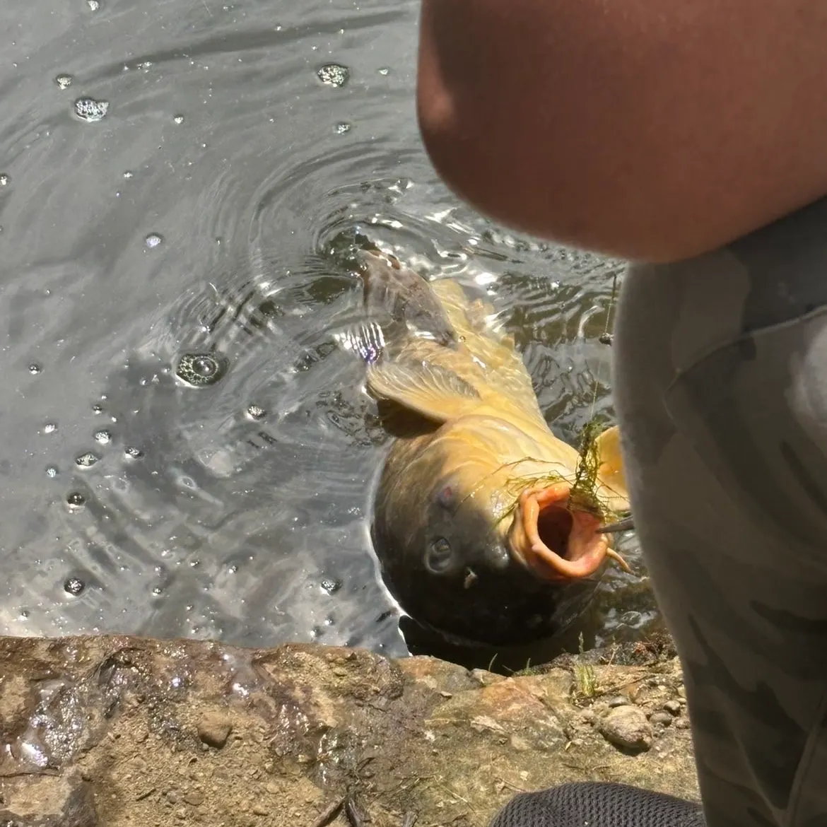 catch