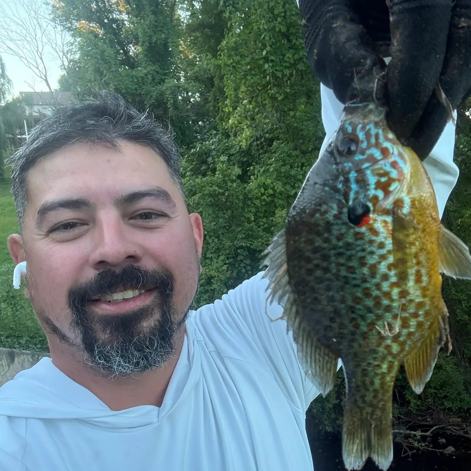 Pumpkinseed caught on Fishbrain