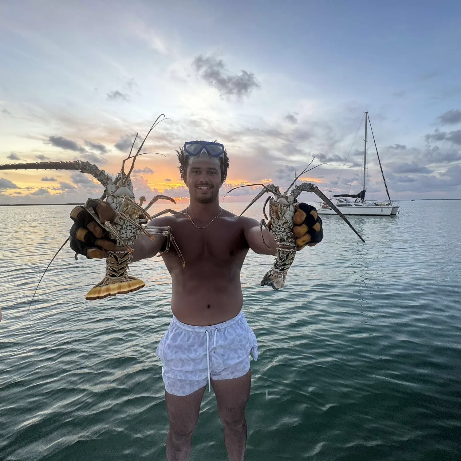 The most recent Caribbean spiny lobster catches on Fishbrain