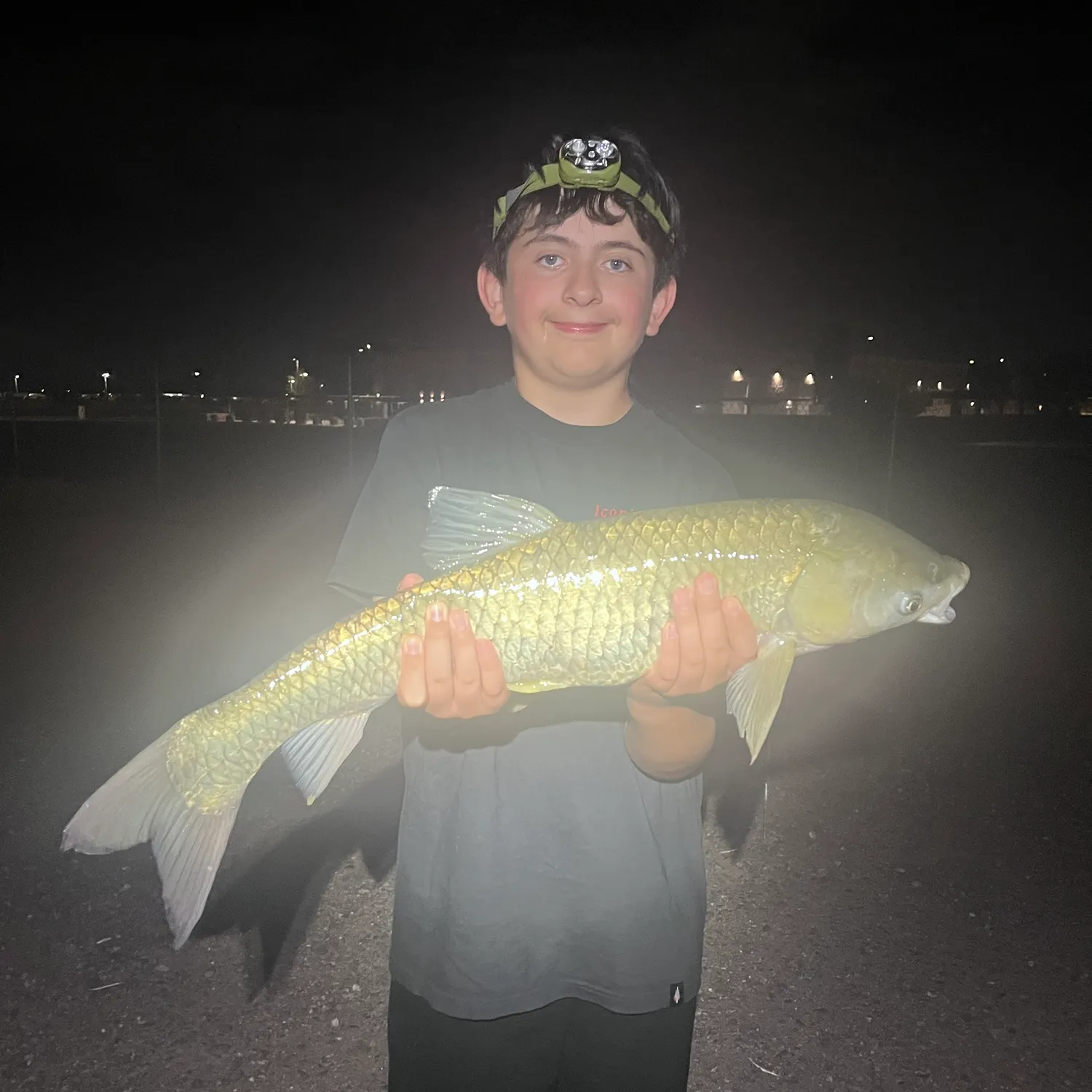 Grass carp caught on Fishbrain