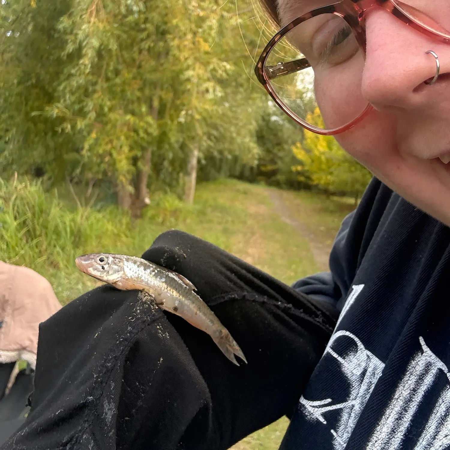 Gudgeon caught on Fishbrain