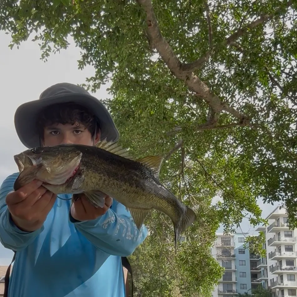 The most recent Florida bass catches on Fishbrain