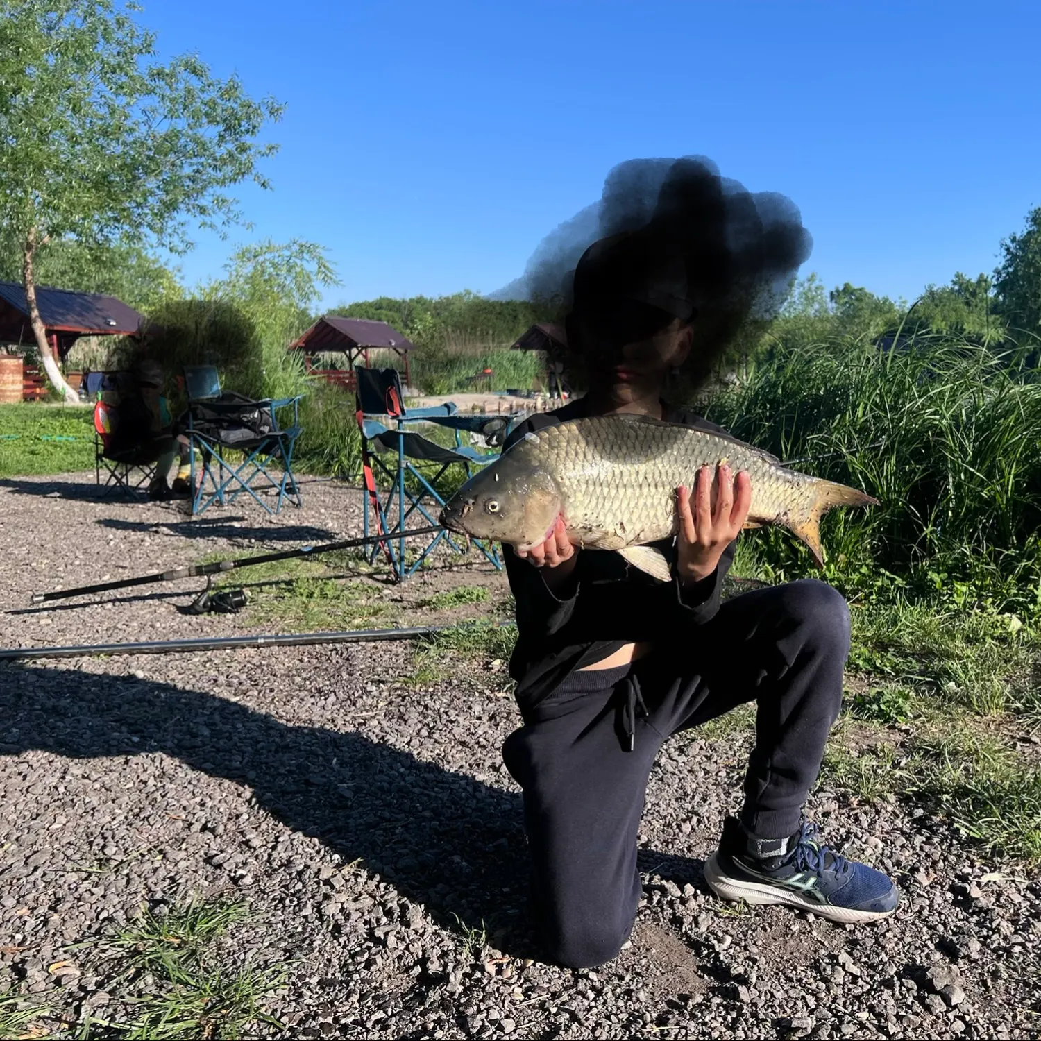 Common carp caught on Fishbrain