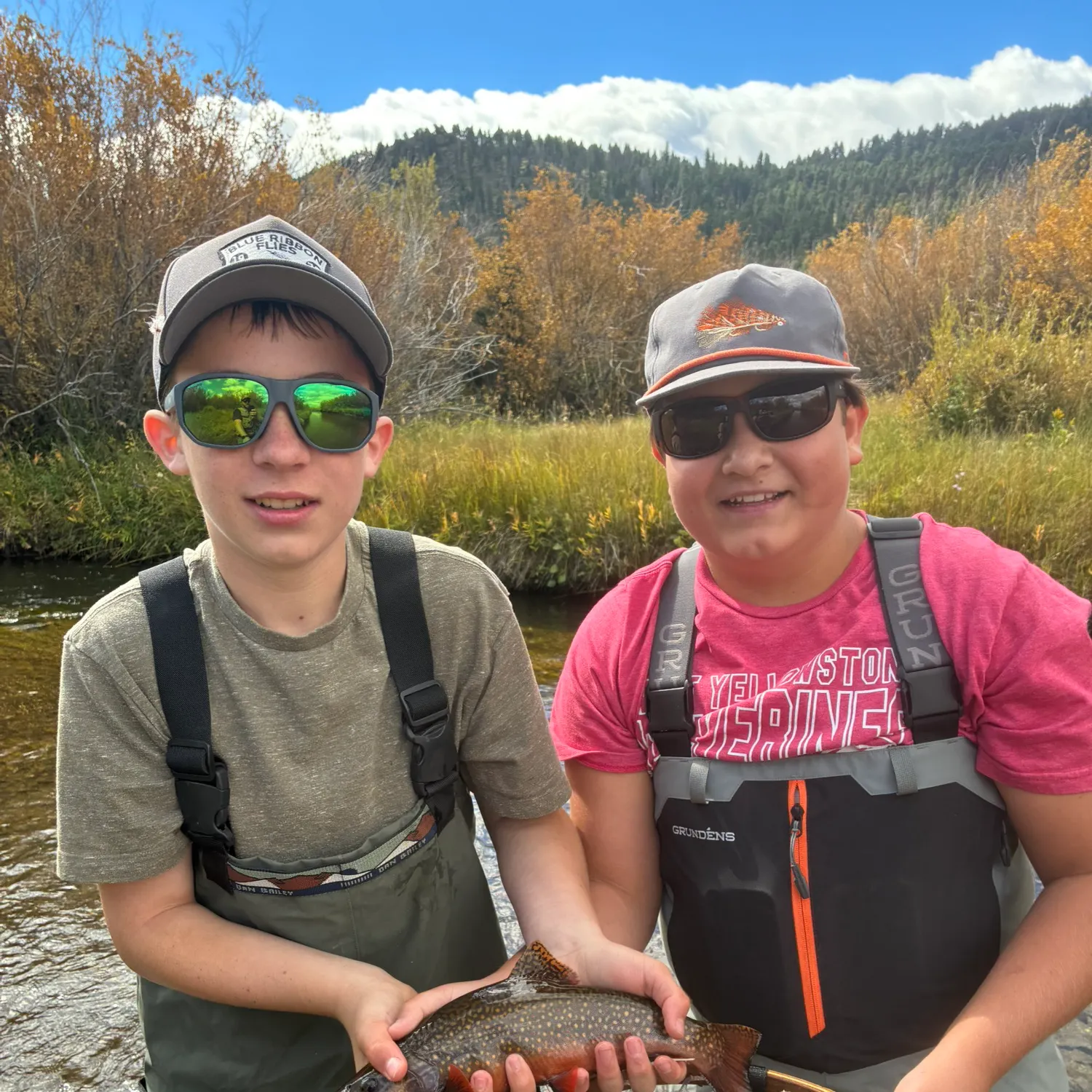 Brook trout caught on Fishbrain
