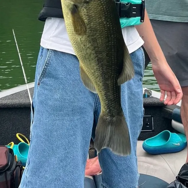 Largemouth bass caught on Fishbrain