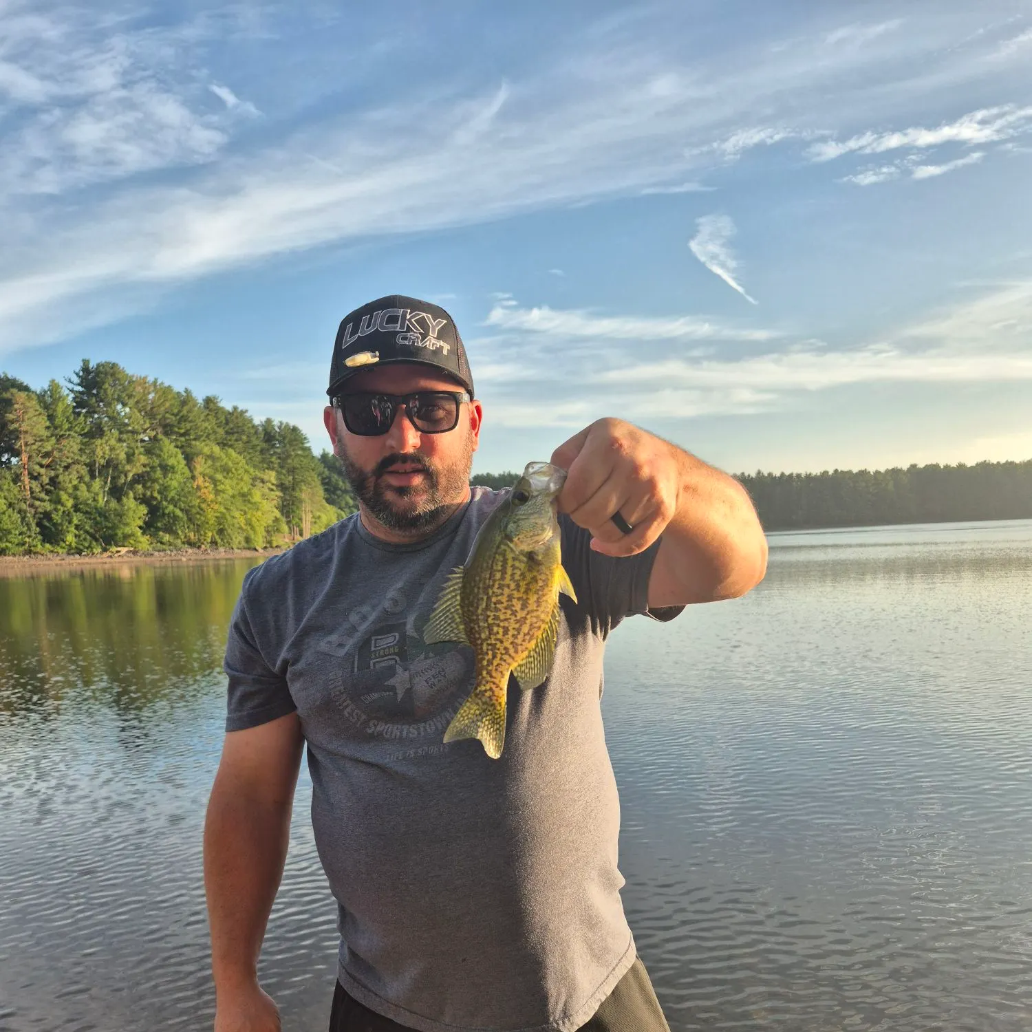 Black crappie caught on Fishbrain