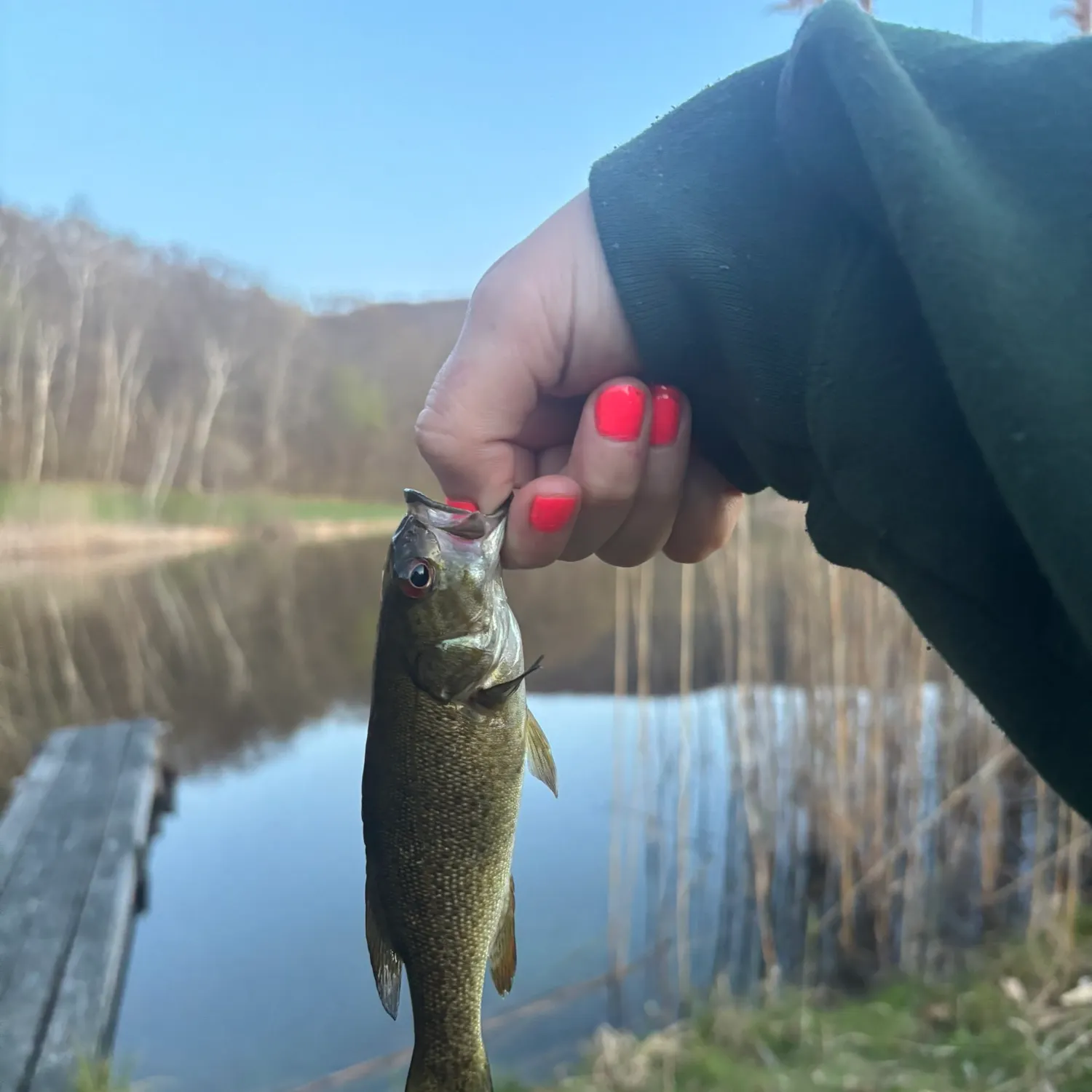 angler catch