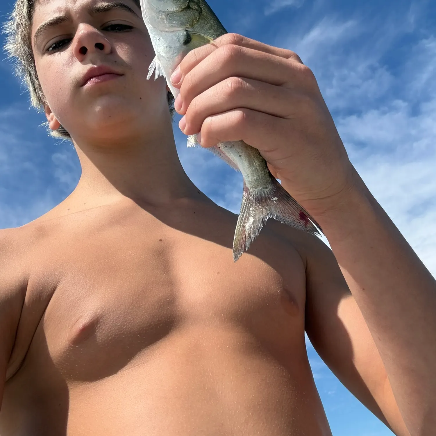 Bluefish caught on Fishbrain