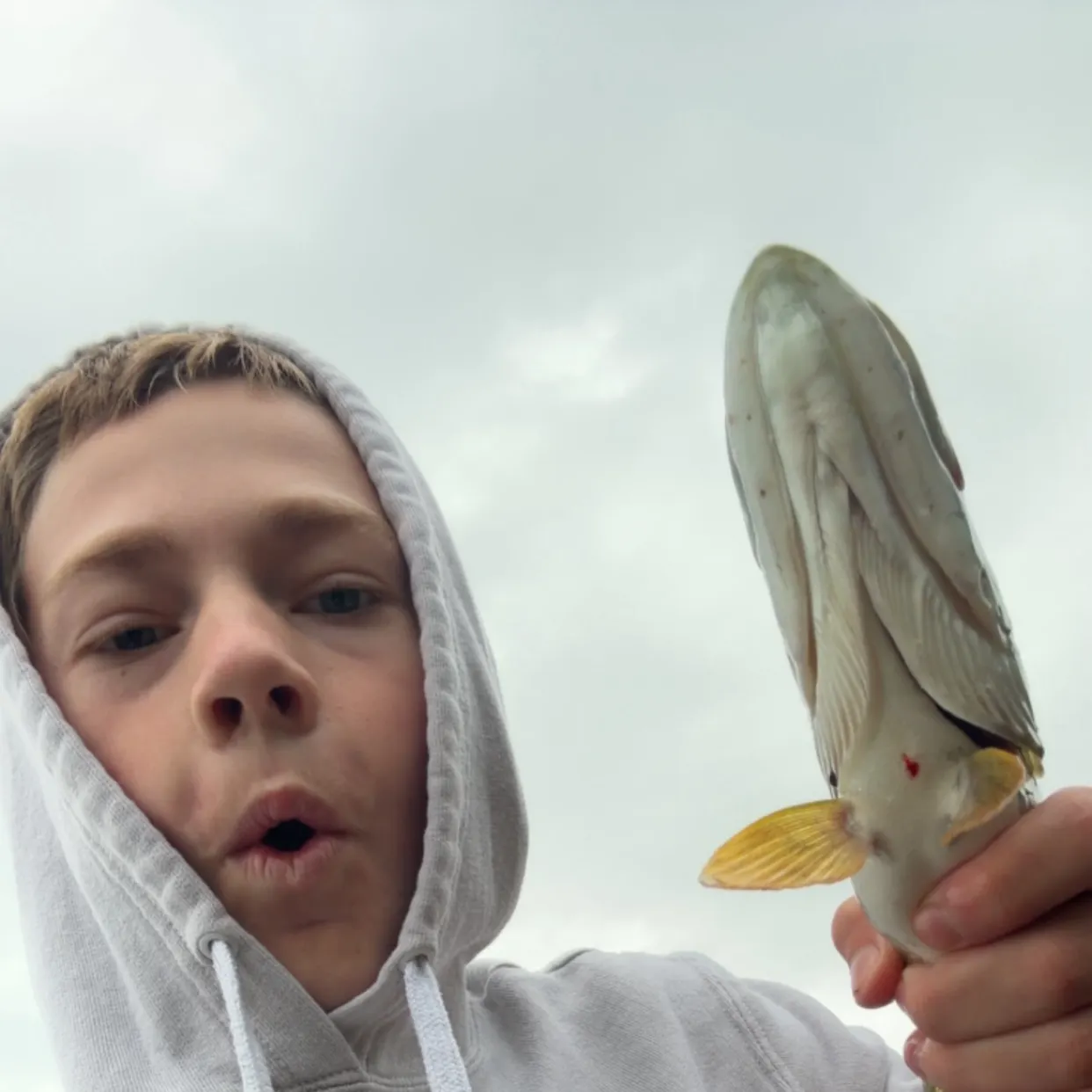 Fish caught on Fishbrain