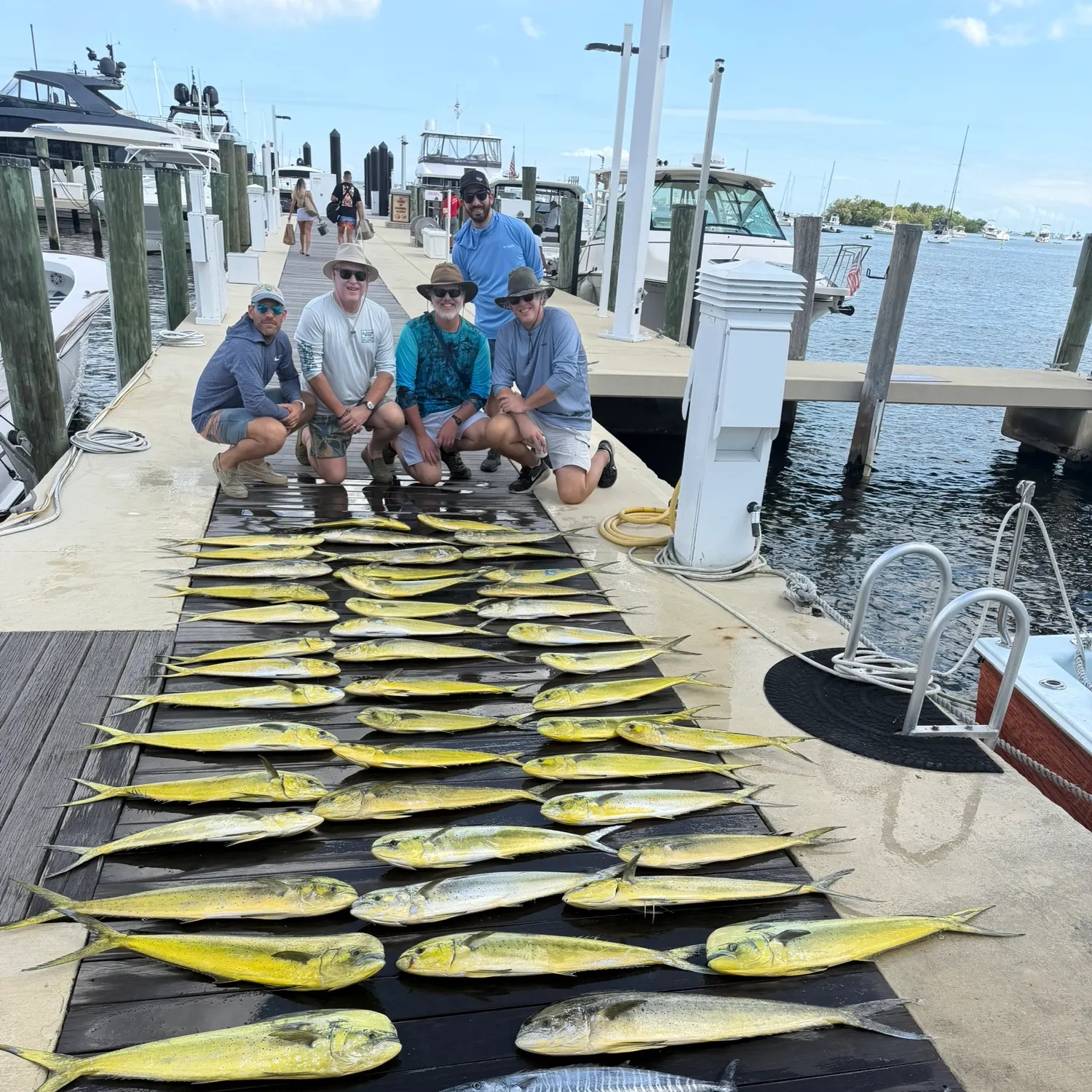 Common dolphinfish caught on Fishbrain