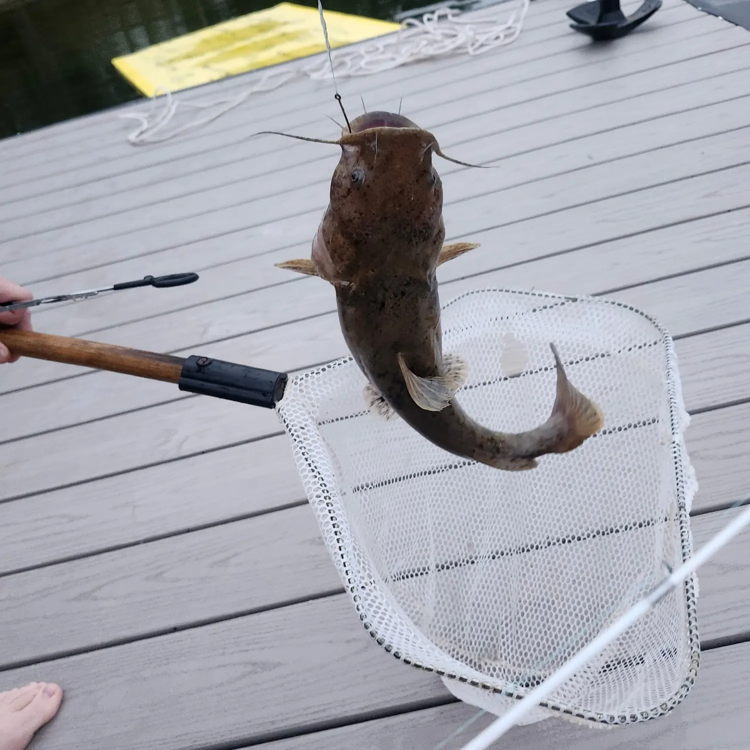 catch