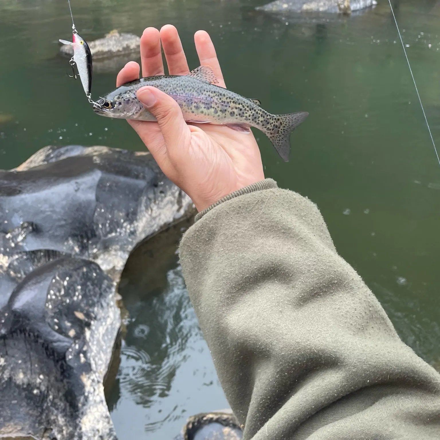 The most recent Great basin redband trout catches on Fishbrain