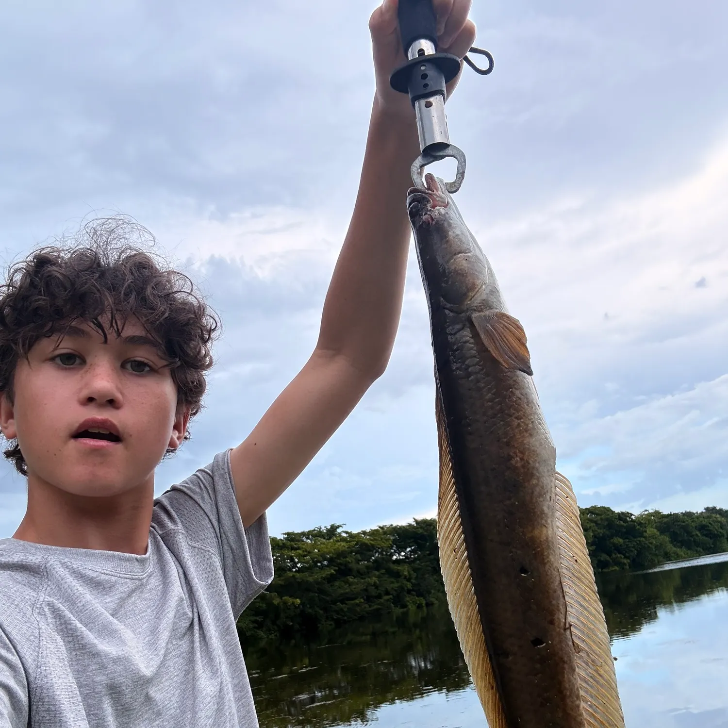 Bullseye snakehead caught on Fishbrain