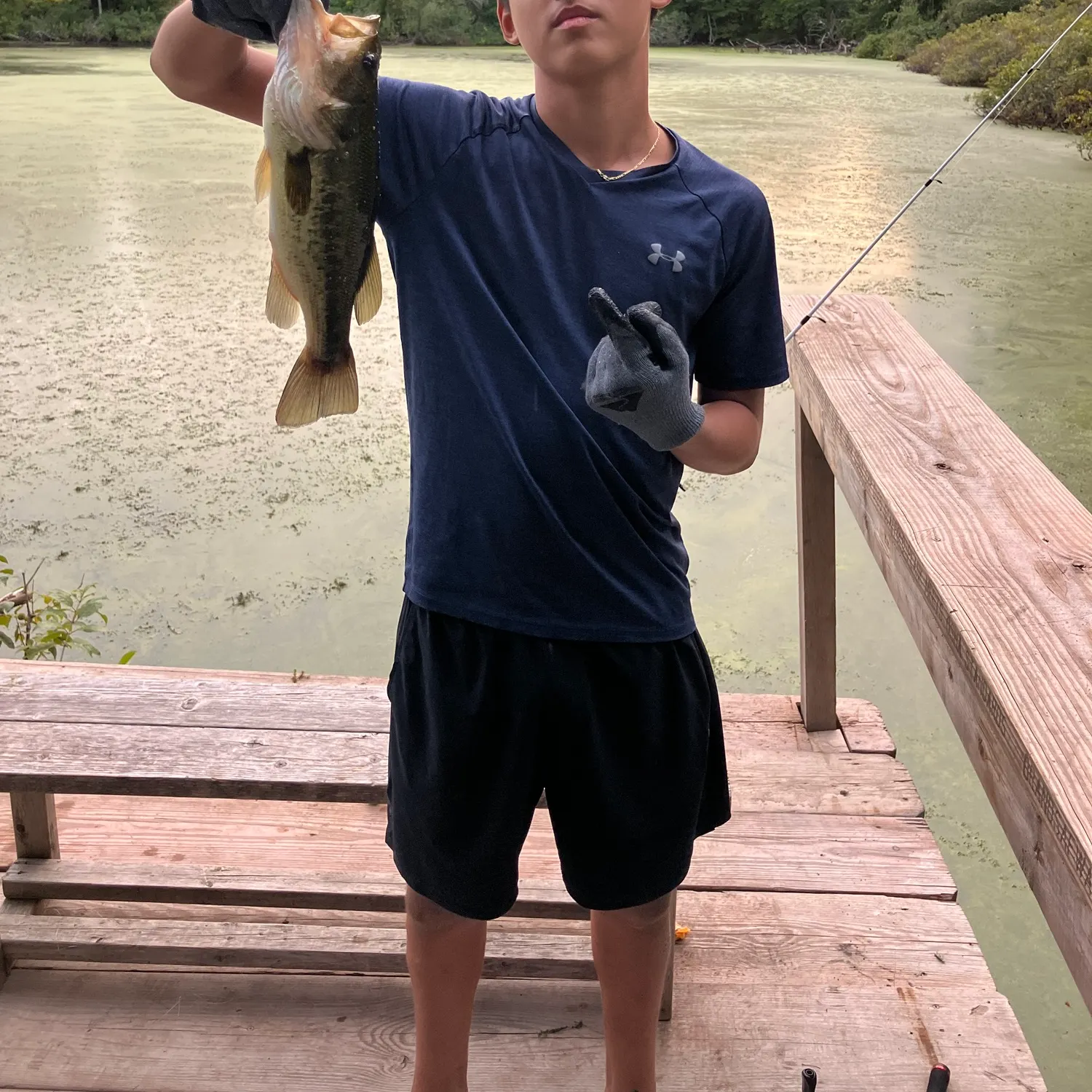 Largemouth bass caught on Fishbrain