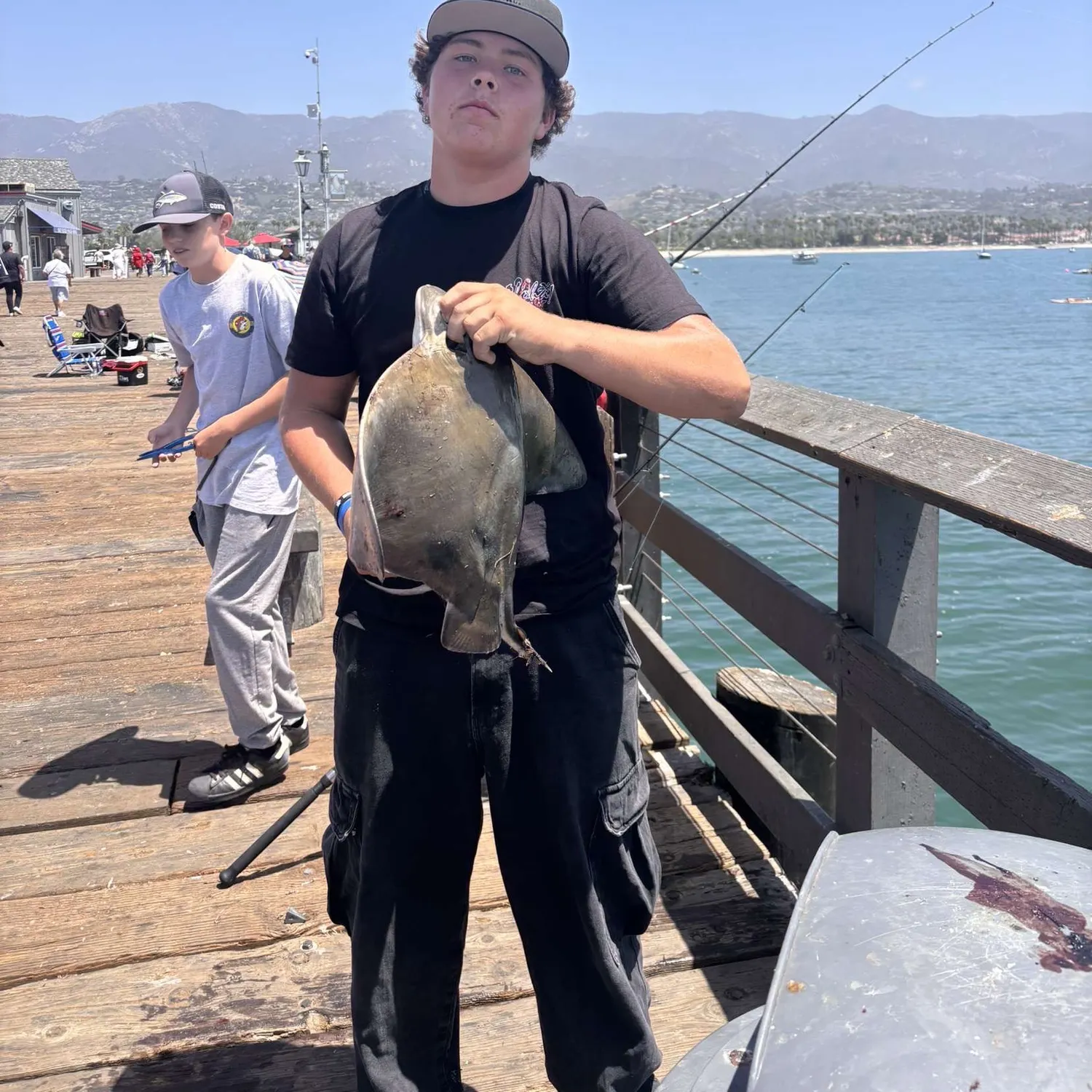 The most recent Spotted eagle ray catches on Fishbrain