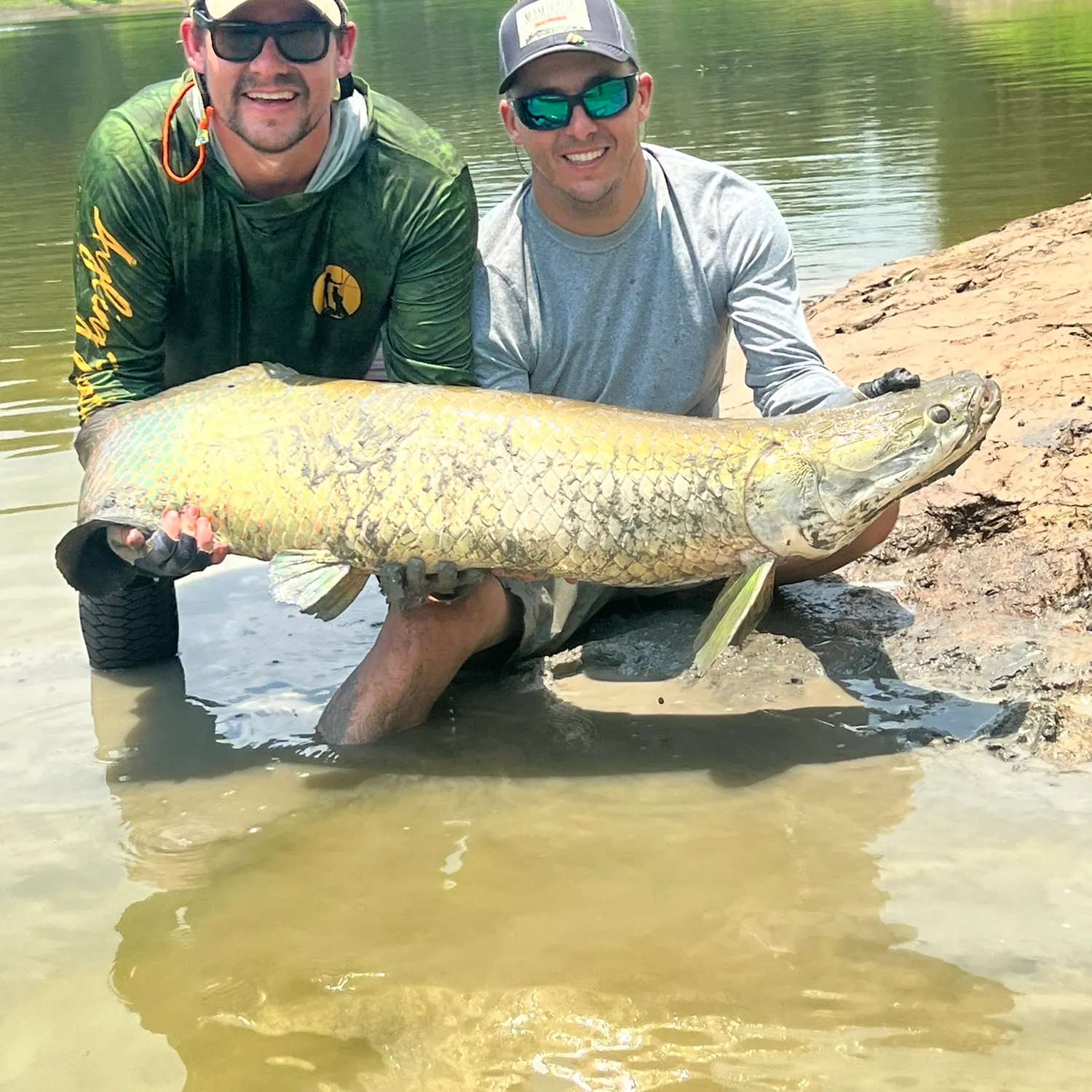 The most recent Arapaima catches on Fishbrain