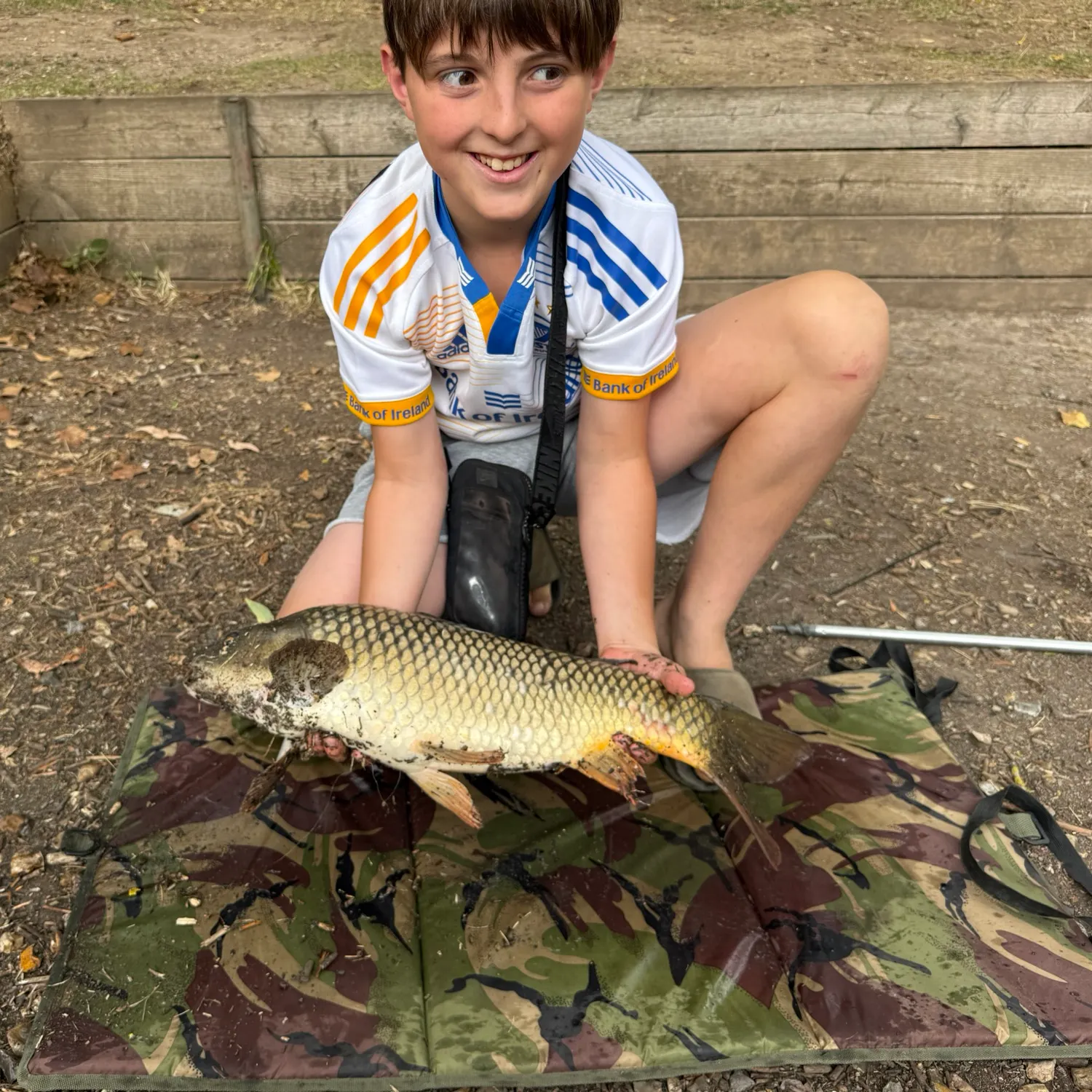 Common carp caught on Fishbrain