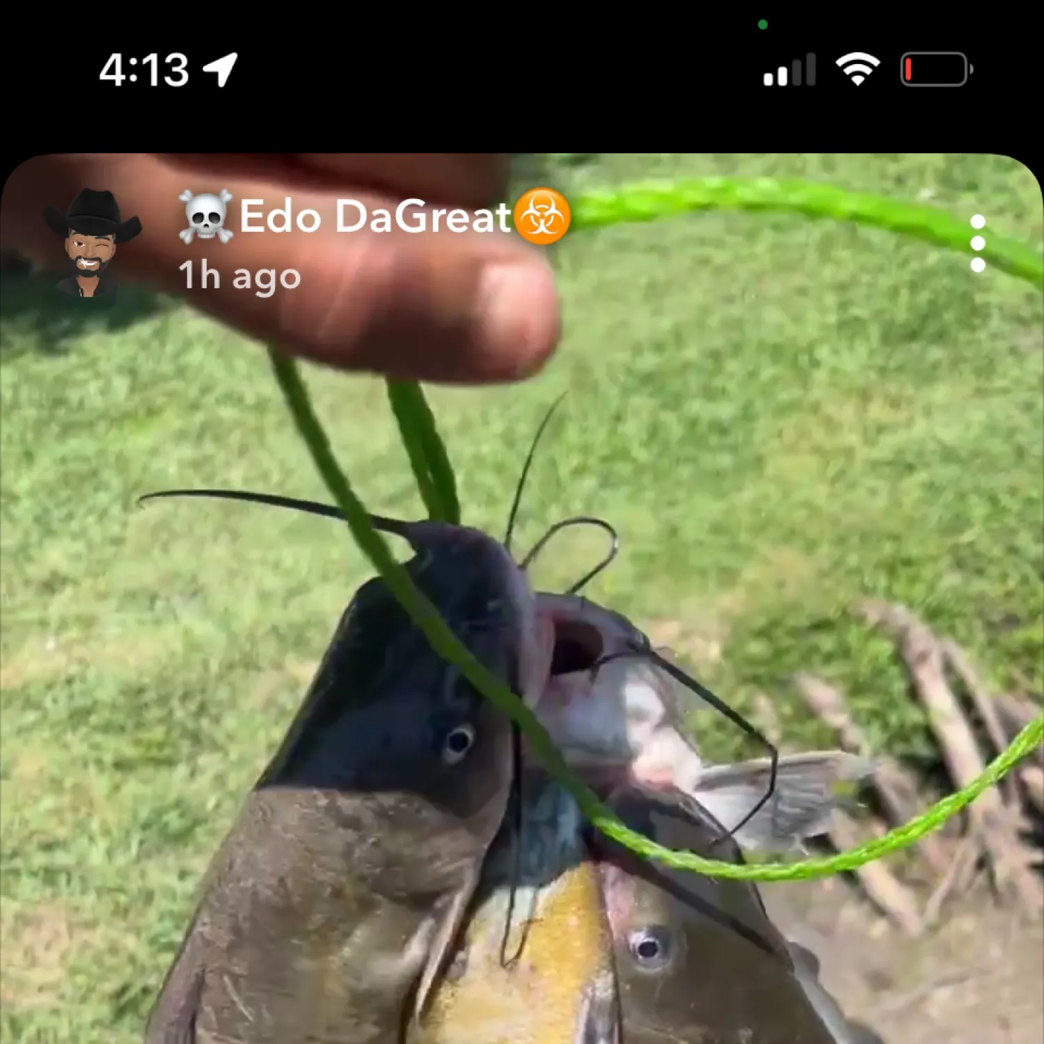 recently logged catches