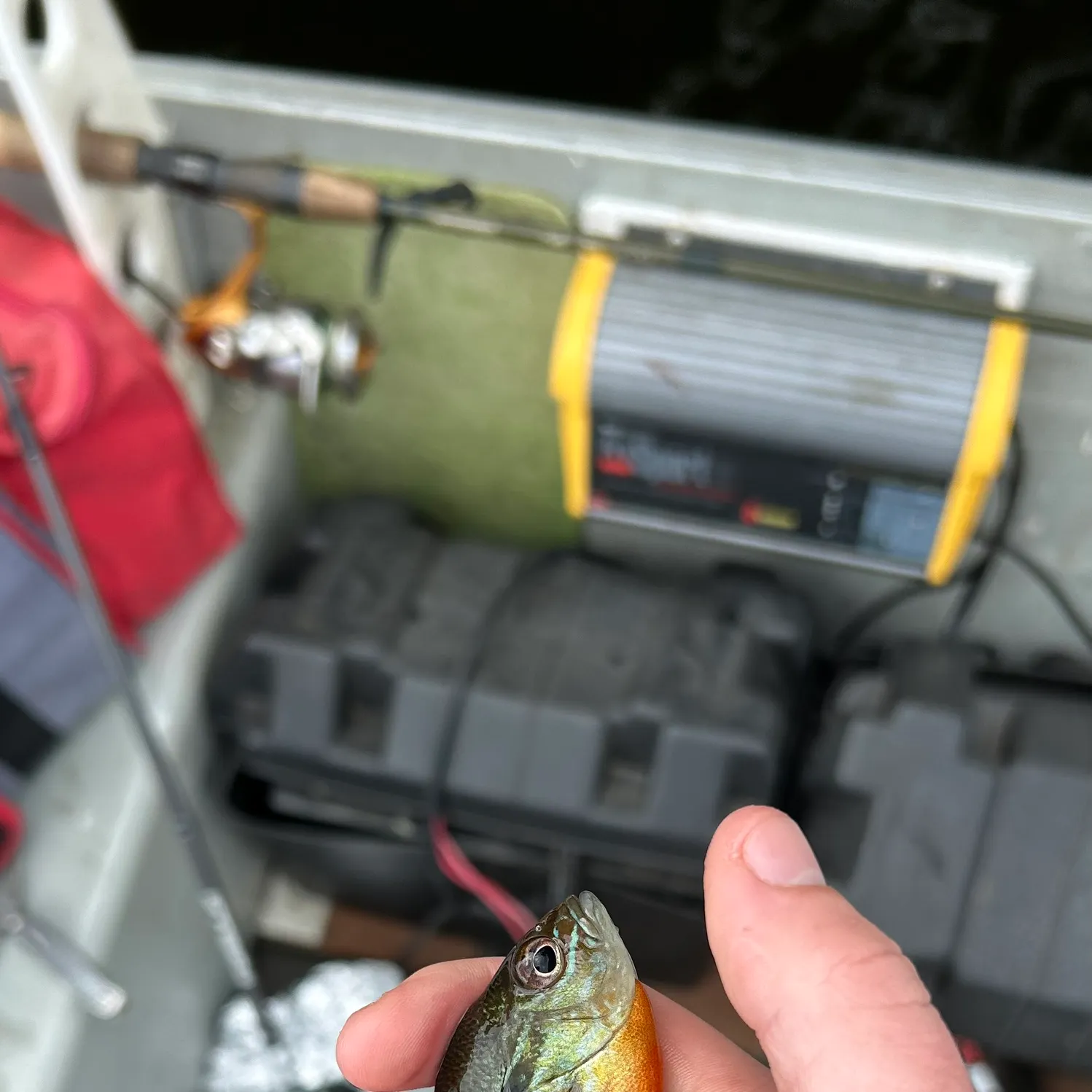 catch
