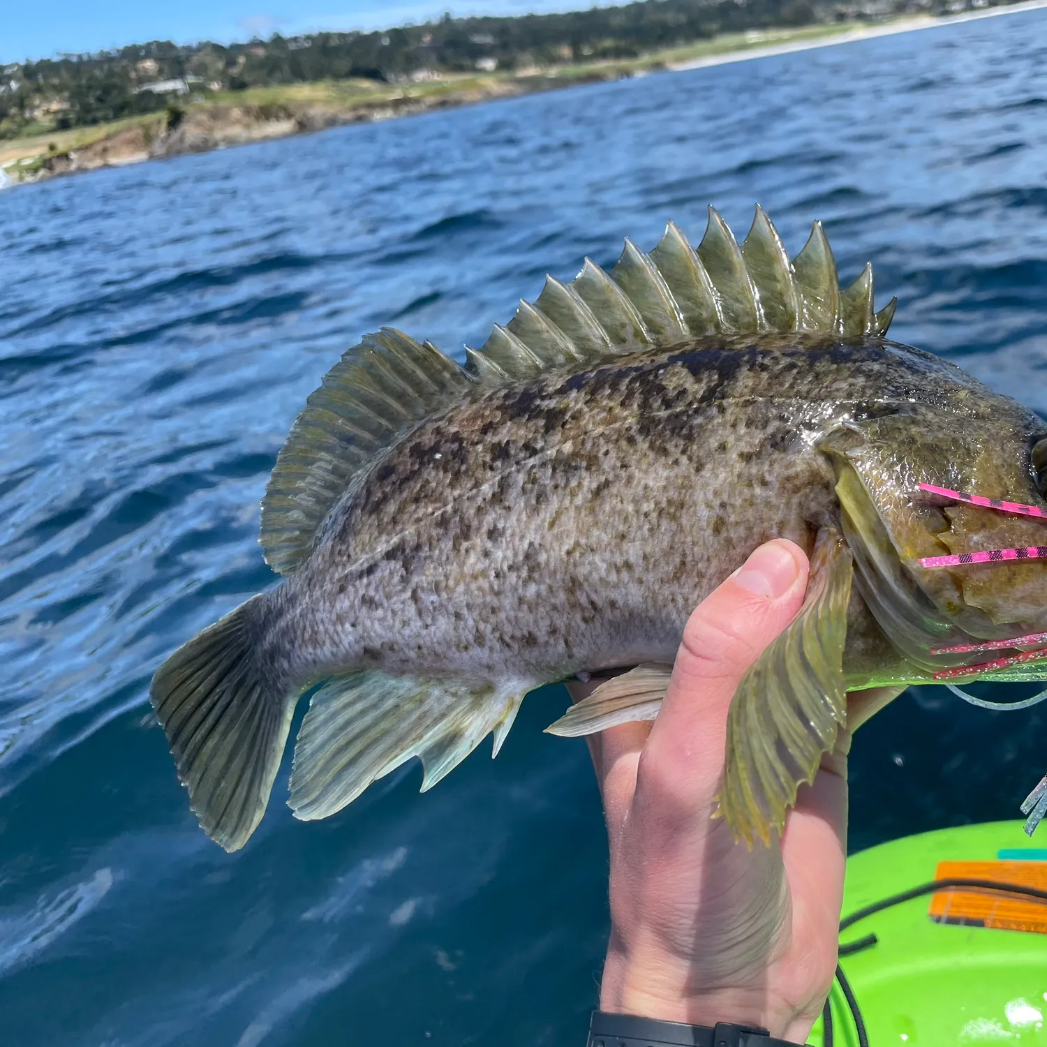 most liked catch image