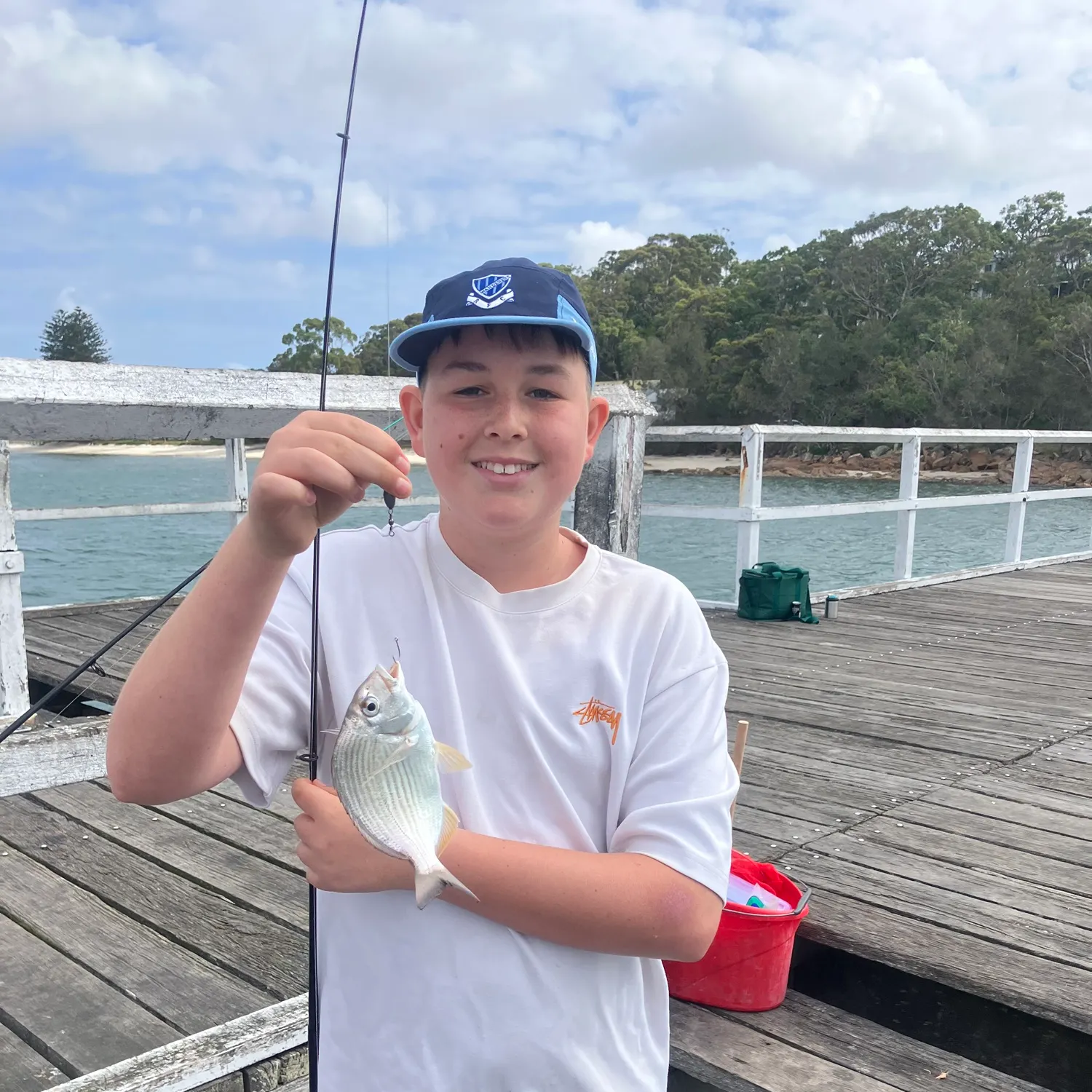 Surf bream caught on Fishbrain