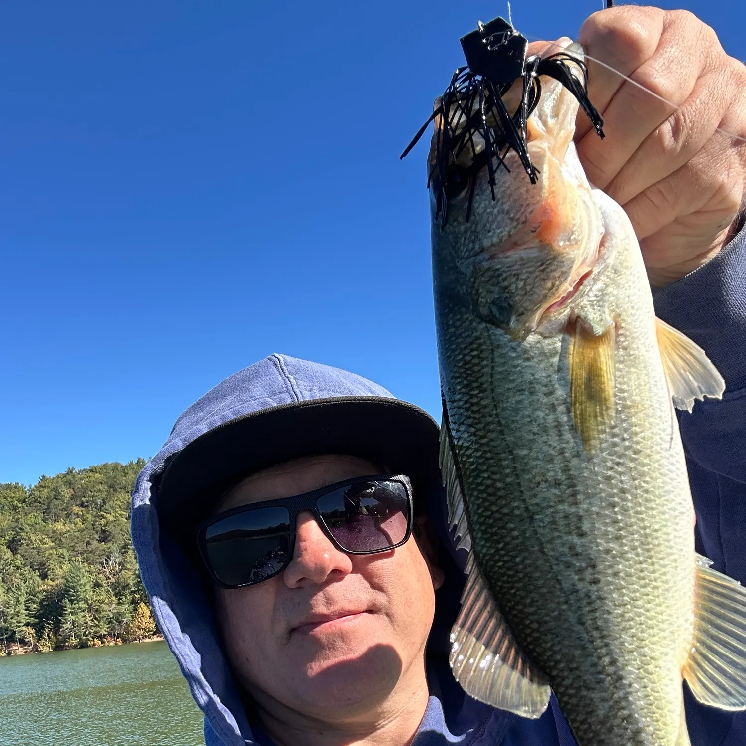 Largemouth bass caught on Fishbrain