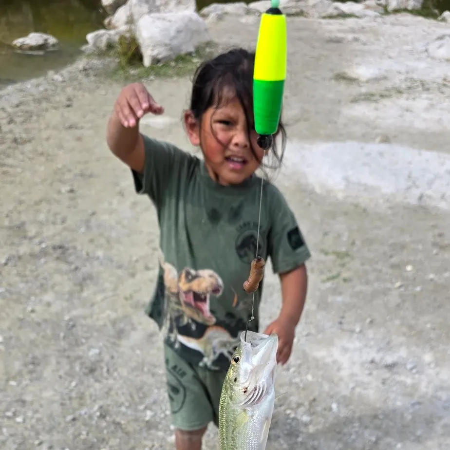 ᐅ Tom Slick Park fishing reports🎣• Lackland AFB, TX (United States) fishing
