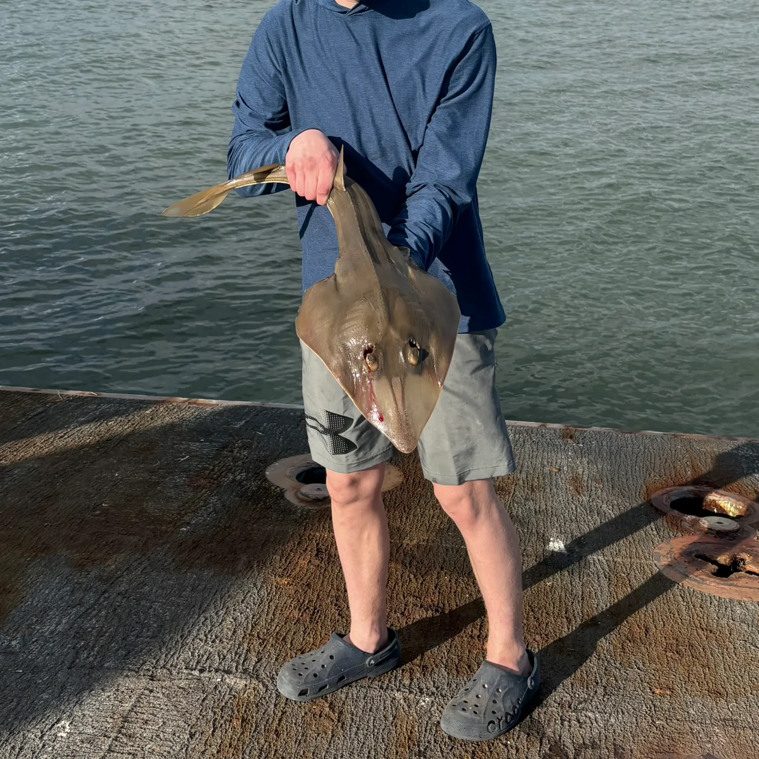 The most recent Pacific shovelnose guitarfish catches on Fishbrain