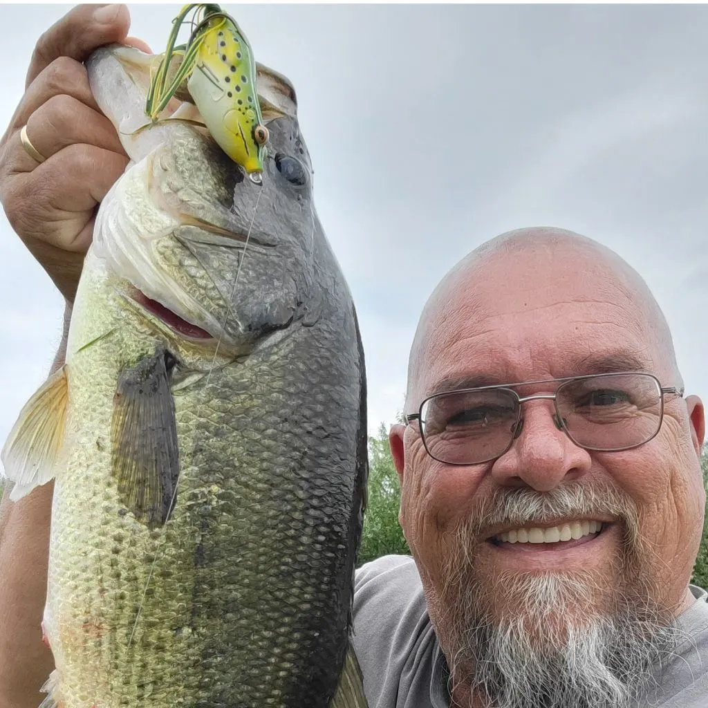 angler catch