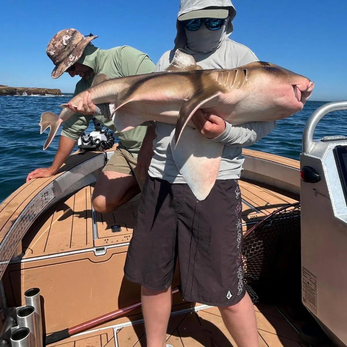 Port Jackson shark caught on Fishbrain