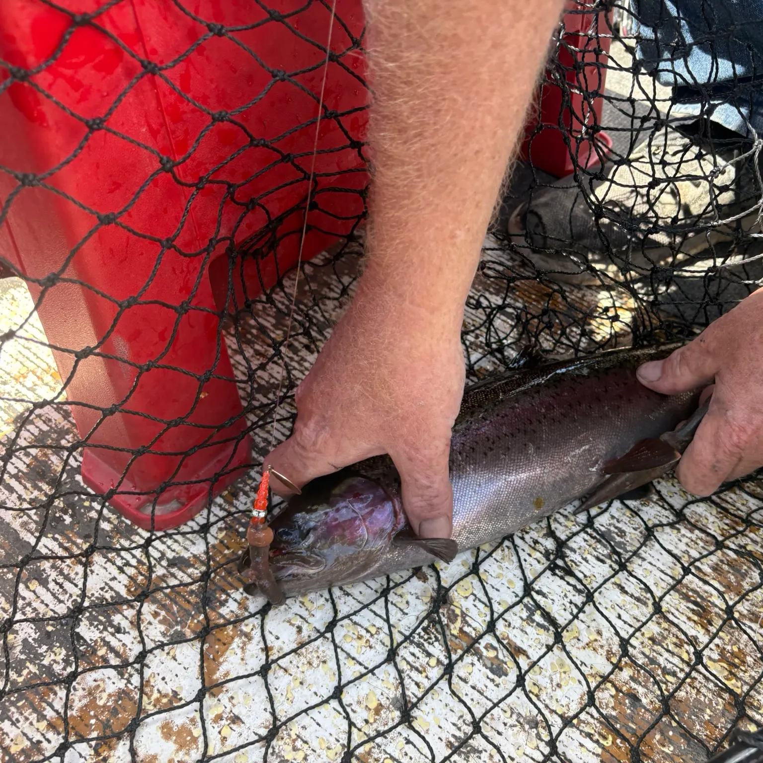 catch