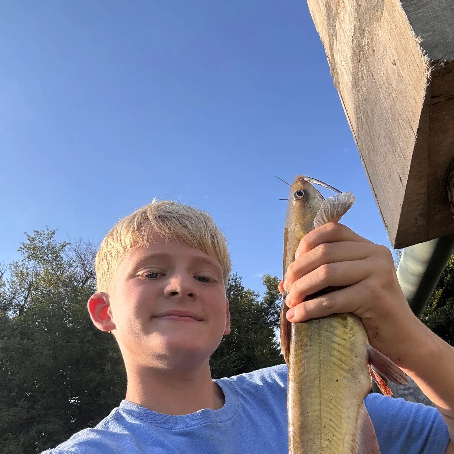 Channel catfish caught on Fishbrain