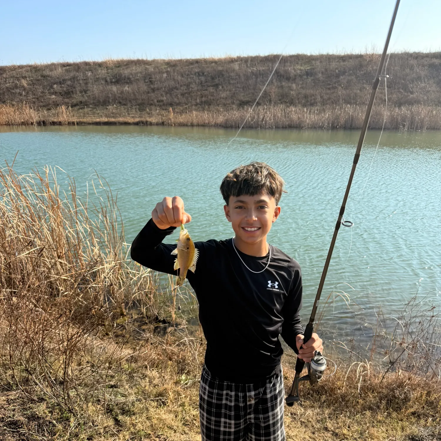 The most recent Bluegill catches on Fishbrain