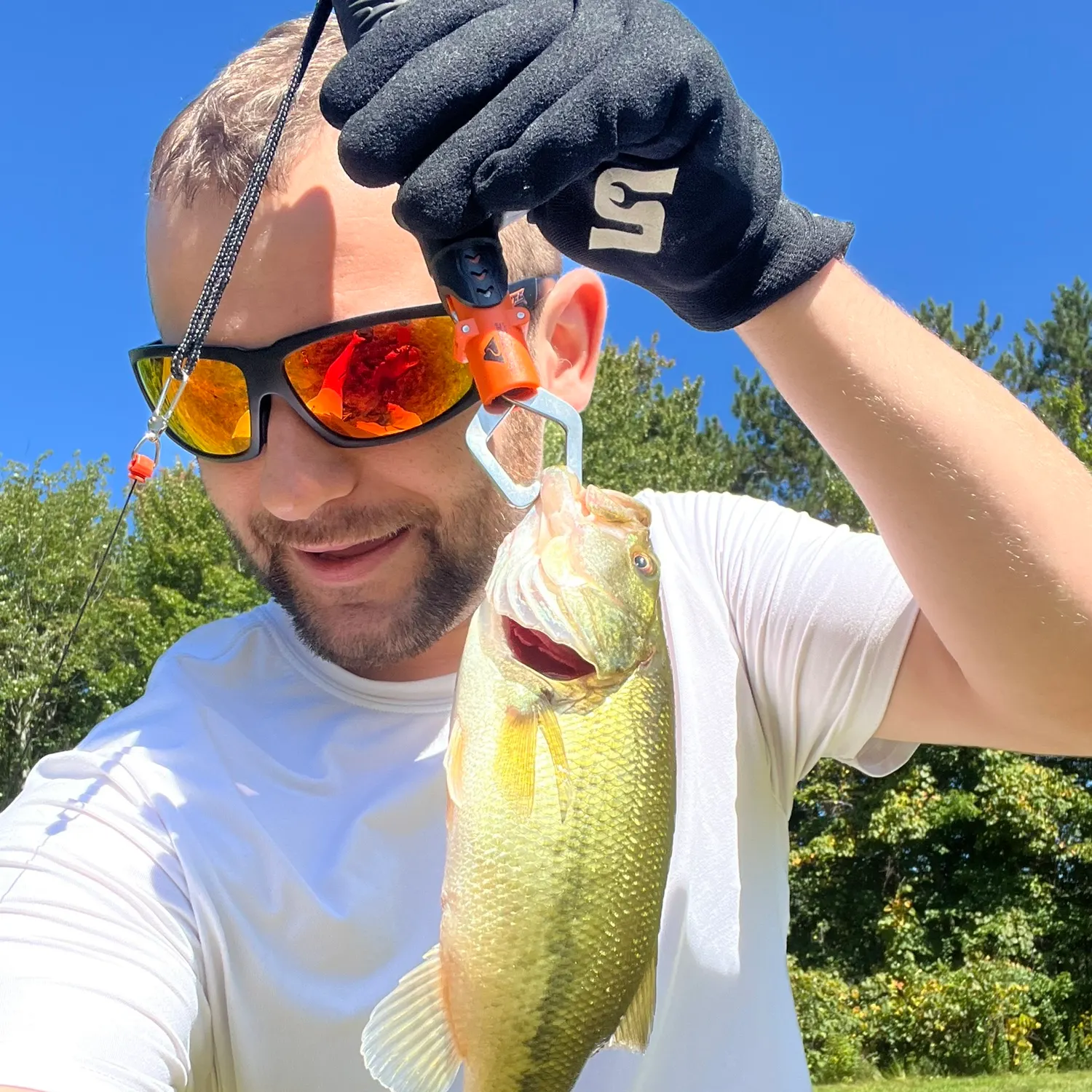 Largemouth bass caught on Fishbrain