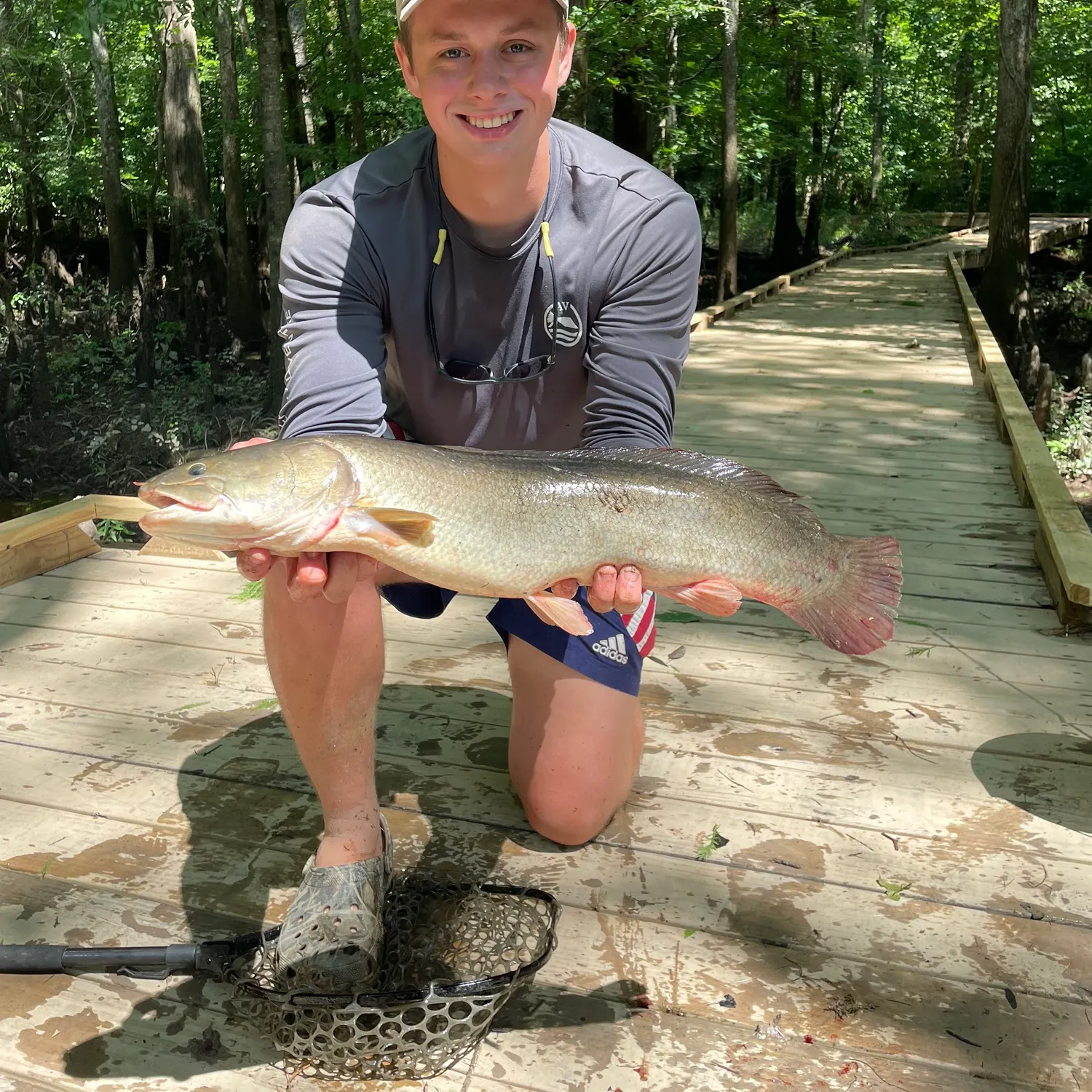 The most recent Ruddy bowfin catches on Fishbrain