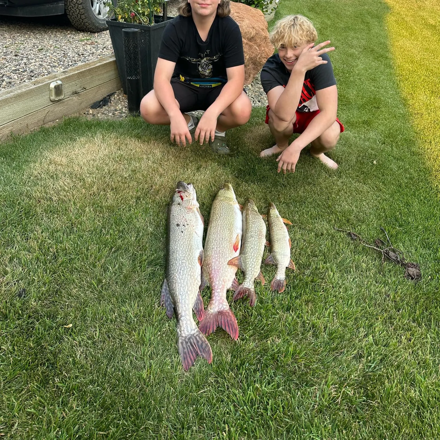 recently logged catches