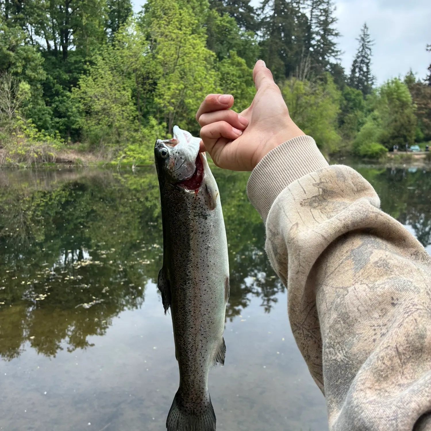 catch