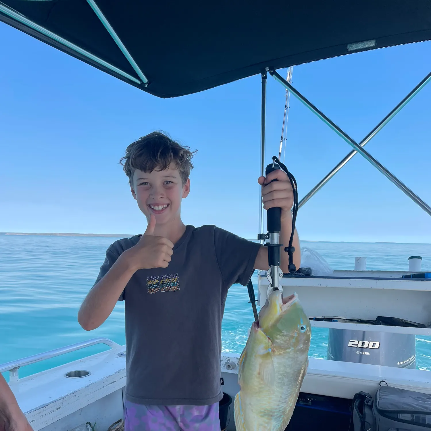 The most recent Blackspot tuskfish catches on Fishbrain