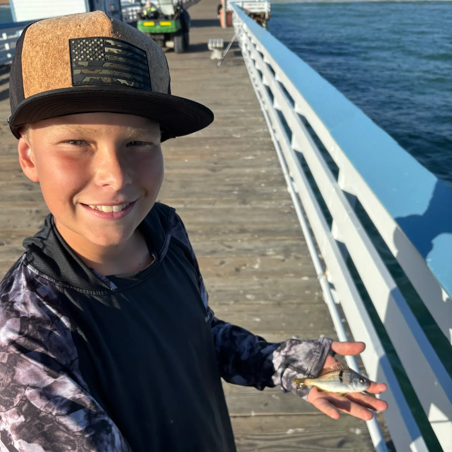 The most recent Sargo catches on Fishbrain