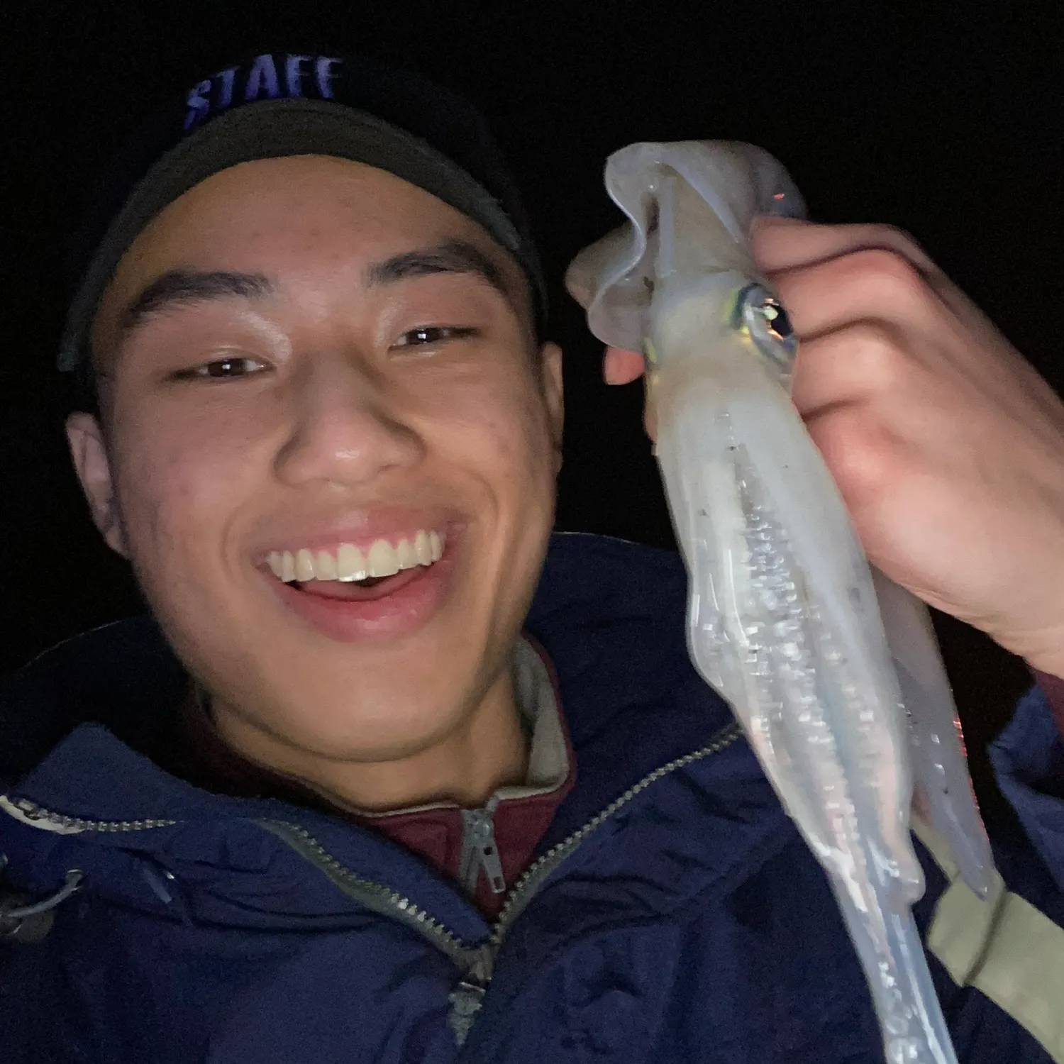 The most recent Longfin inshore squid catches on Fishbrain