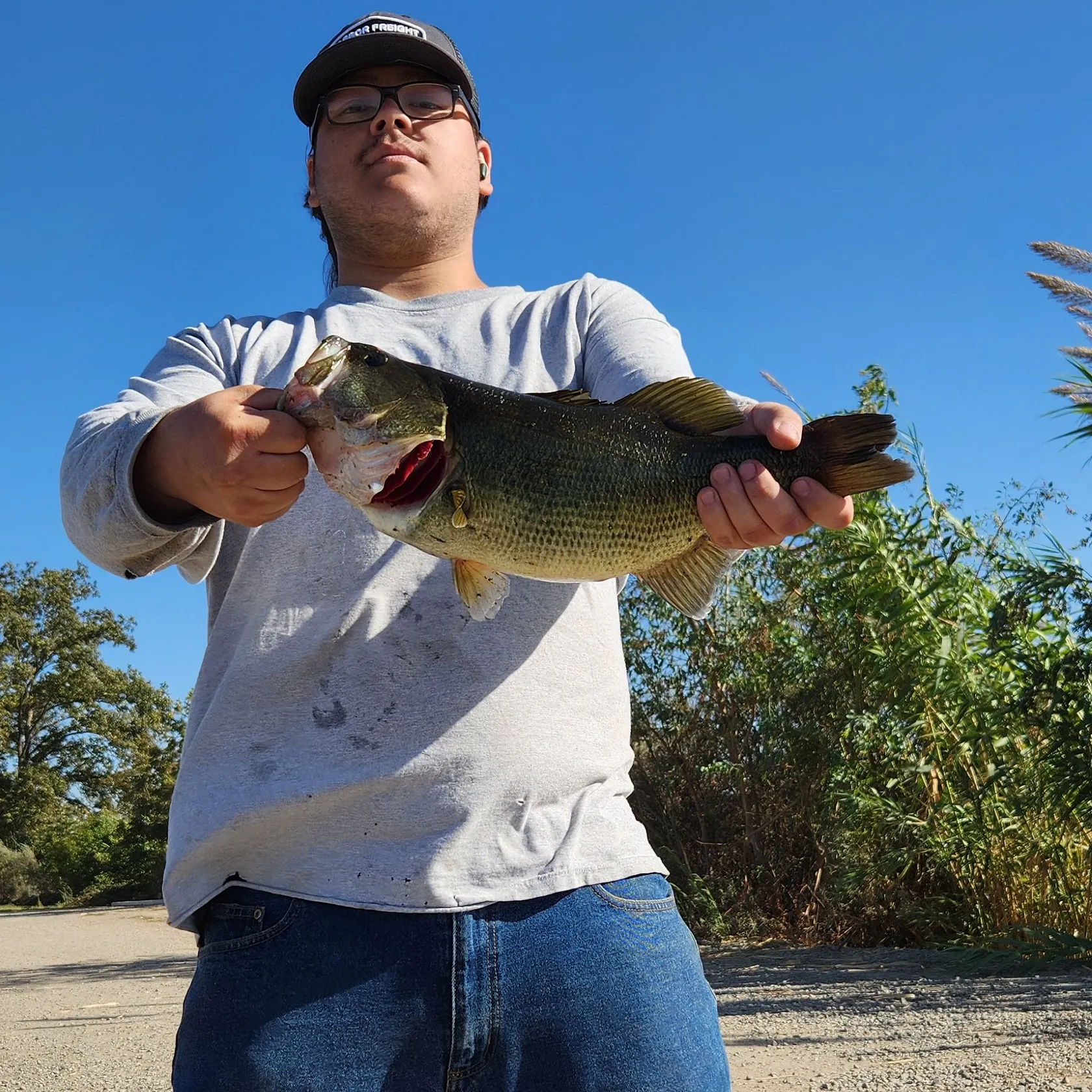 Largemouth bass caught on Fishbrain
