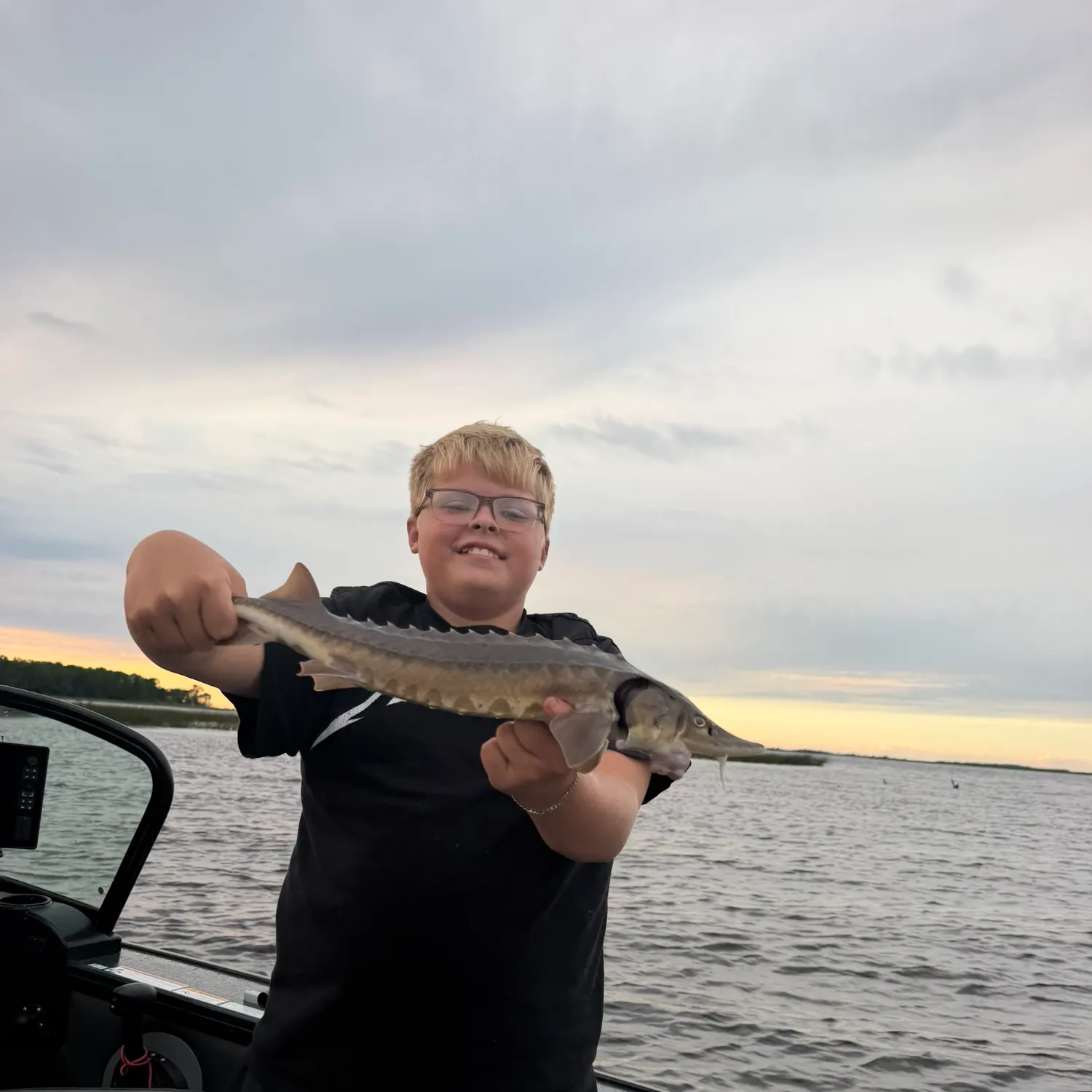 The most recent Lake sturgeon catches on Fishbrain